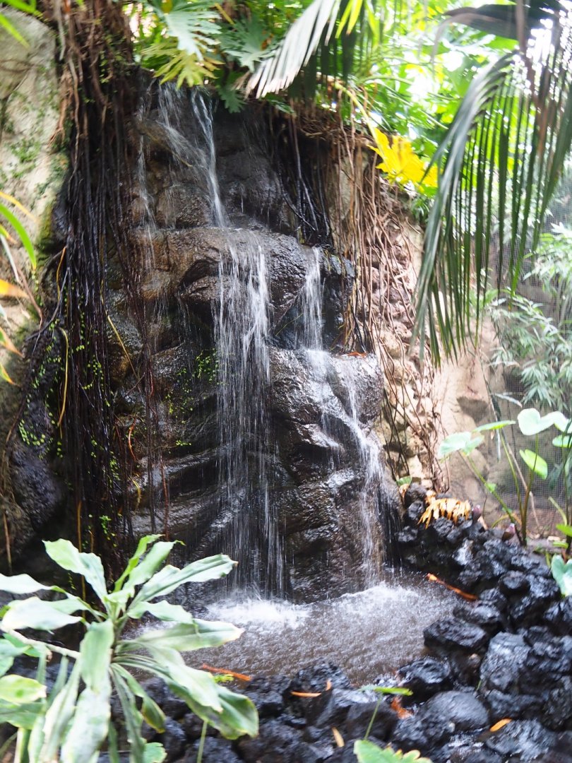 Waterfall in the Philippines section of the tropical hall (Sep 2nd, 2018)