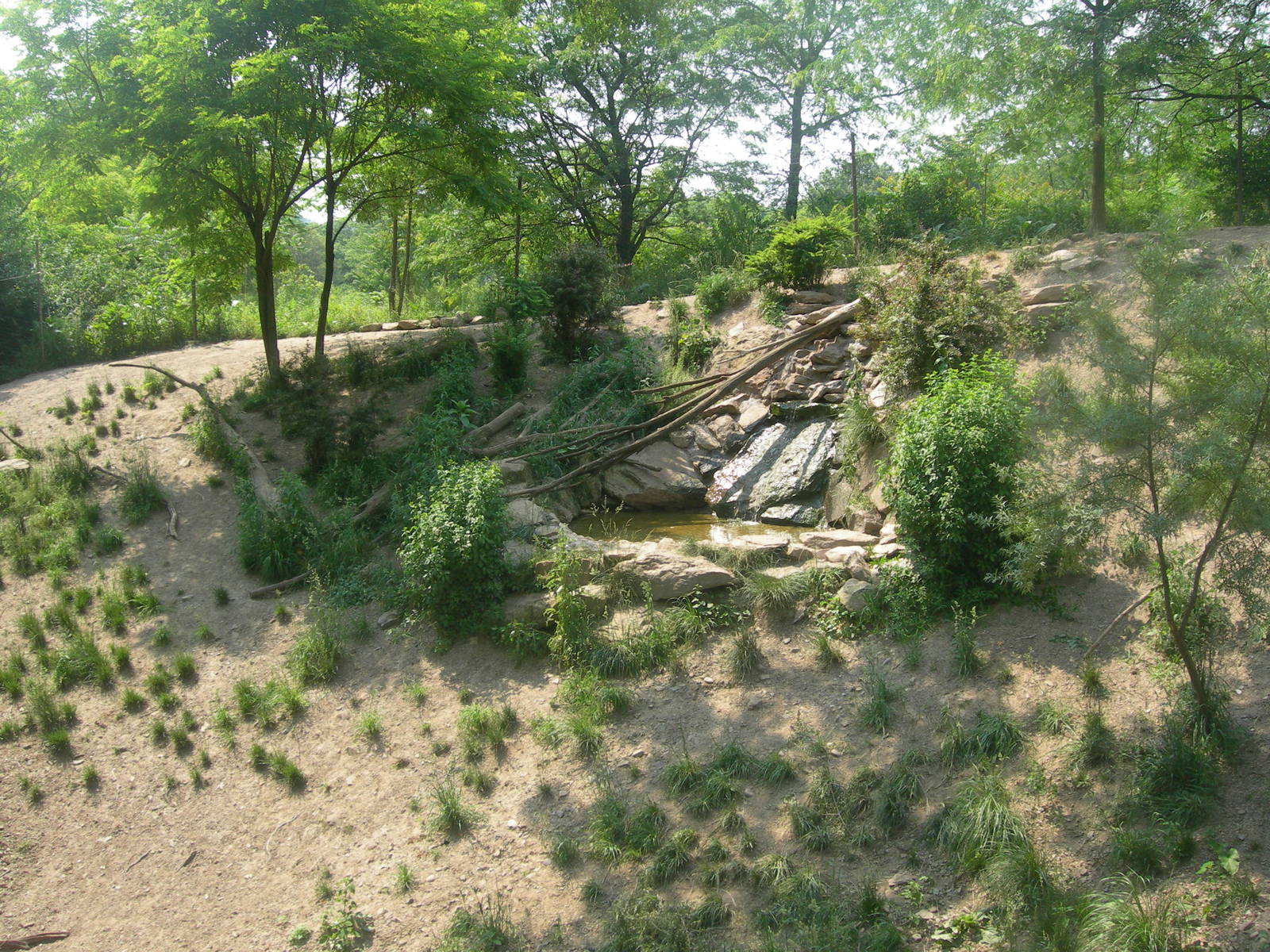 waterfall in top part of african wild dog exhibit