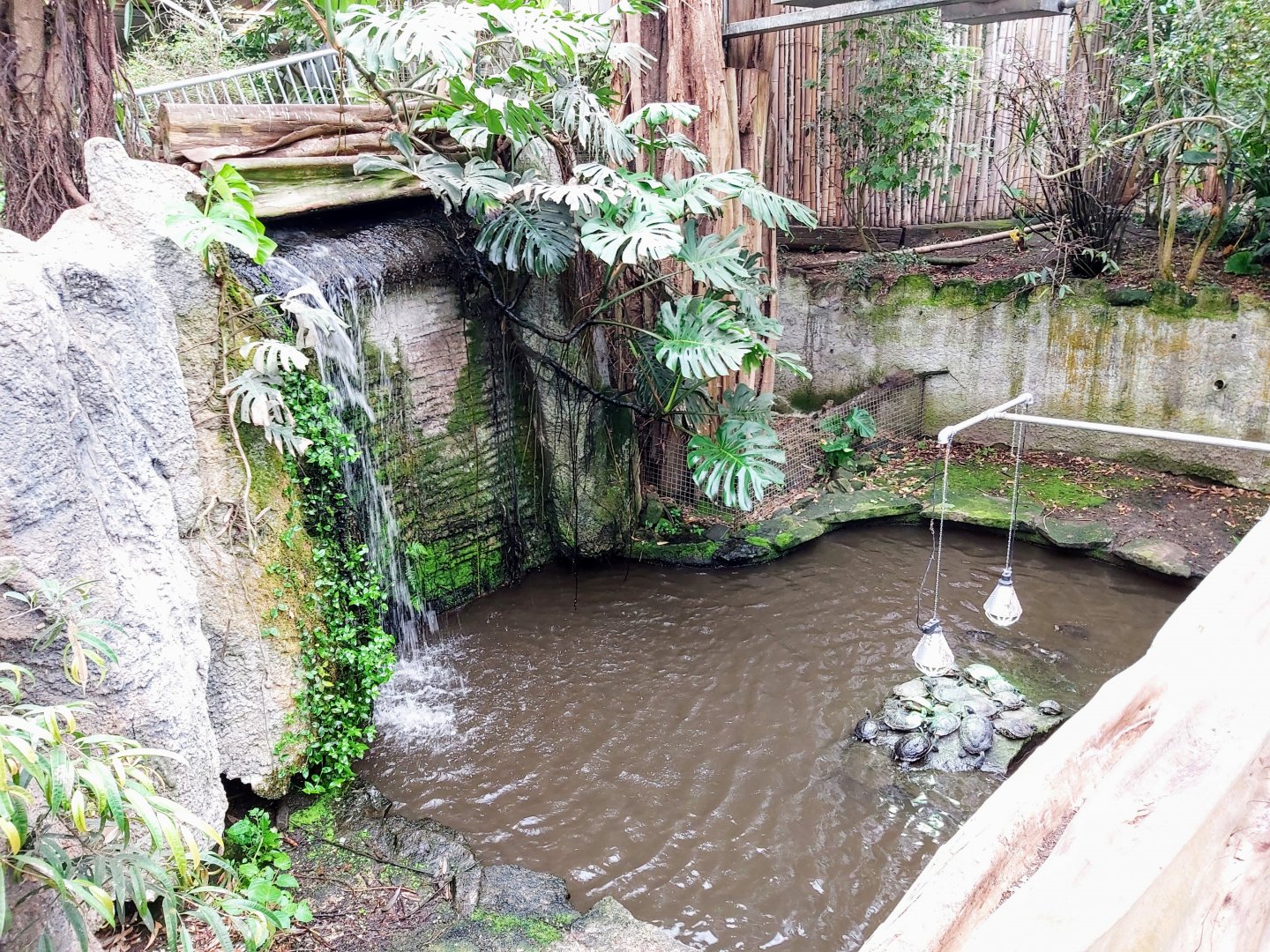 Waterfall in Tropical Hall