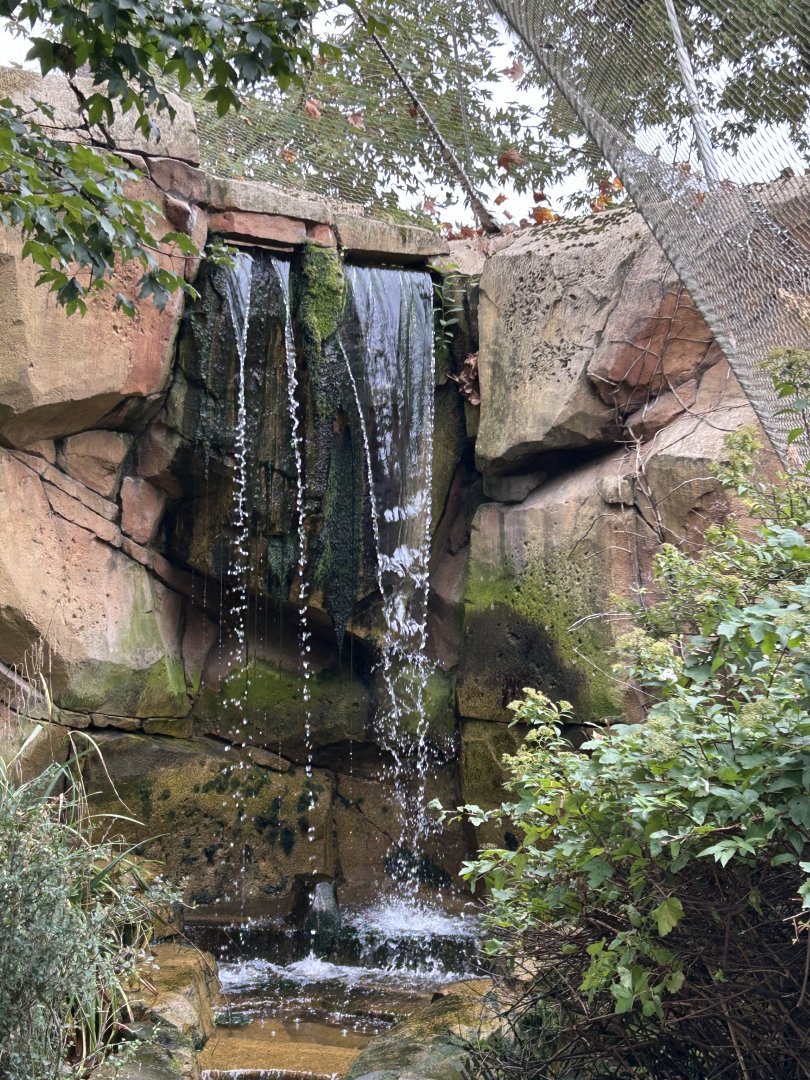 Waterfall inside the Savannah Aviary