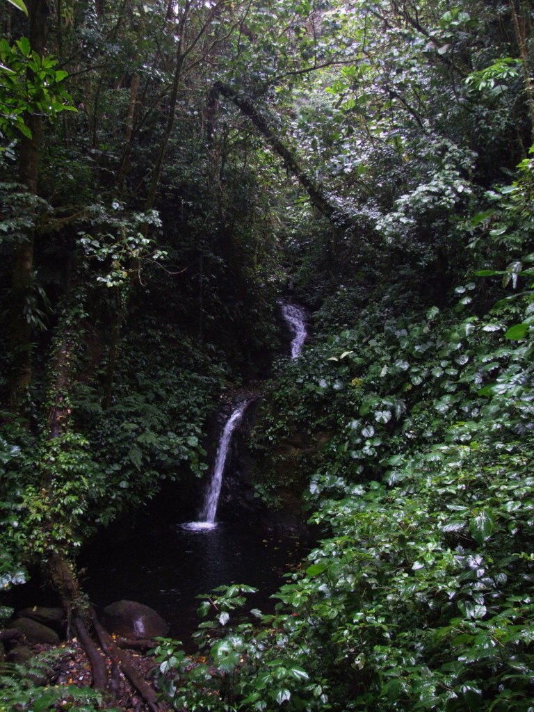 Waterfall, Monteverde, 21/04/14