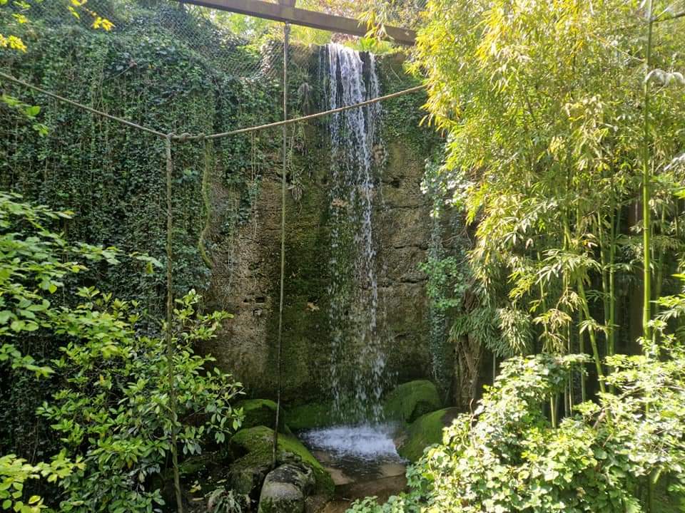 Waterfall, Okapi Sanctuary