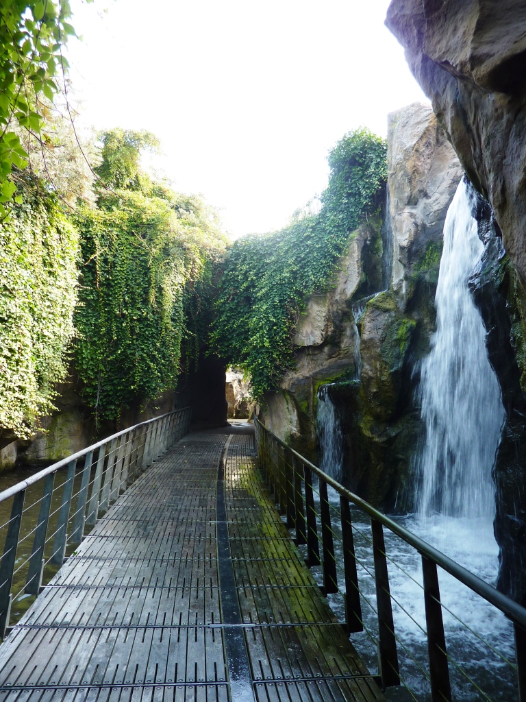 Waterfall on scimitar-horned oryxes exhibit Artis August 2010