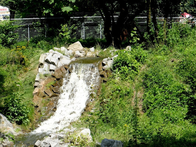 Waterfall on the paddock Ursus actros