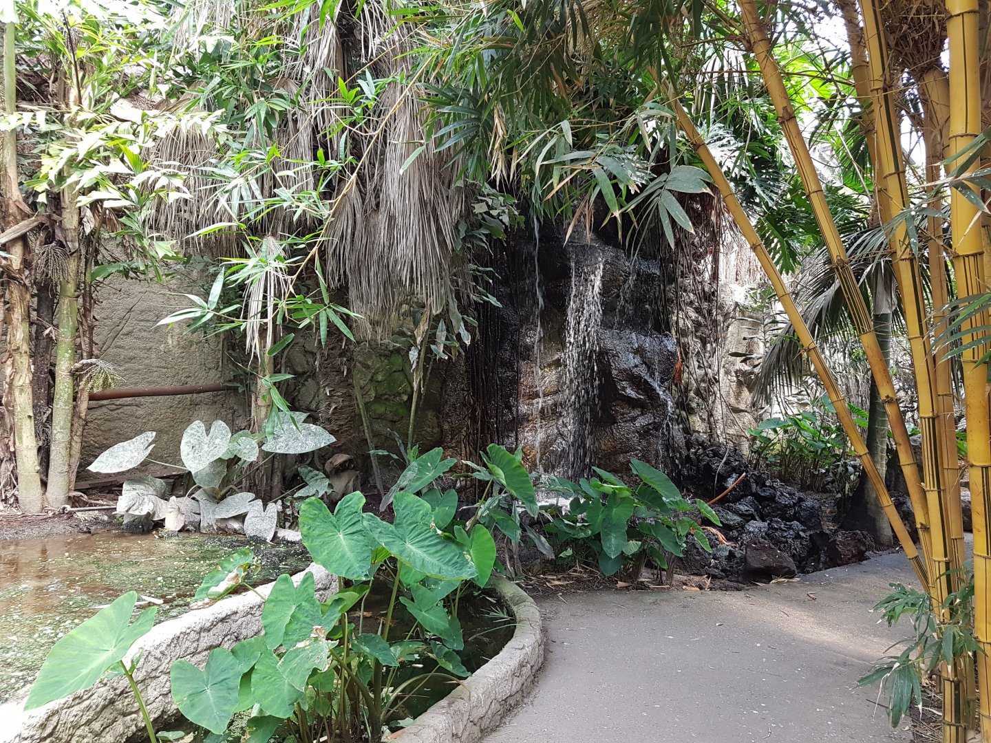 Waterfall Philippine Hall