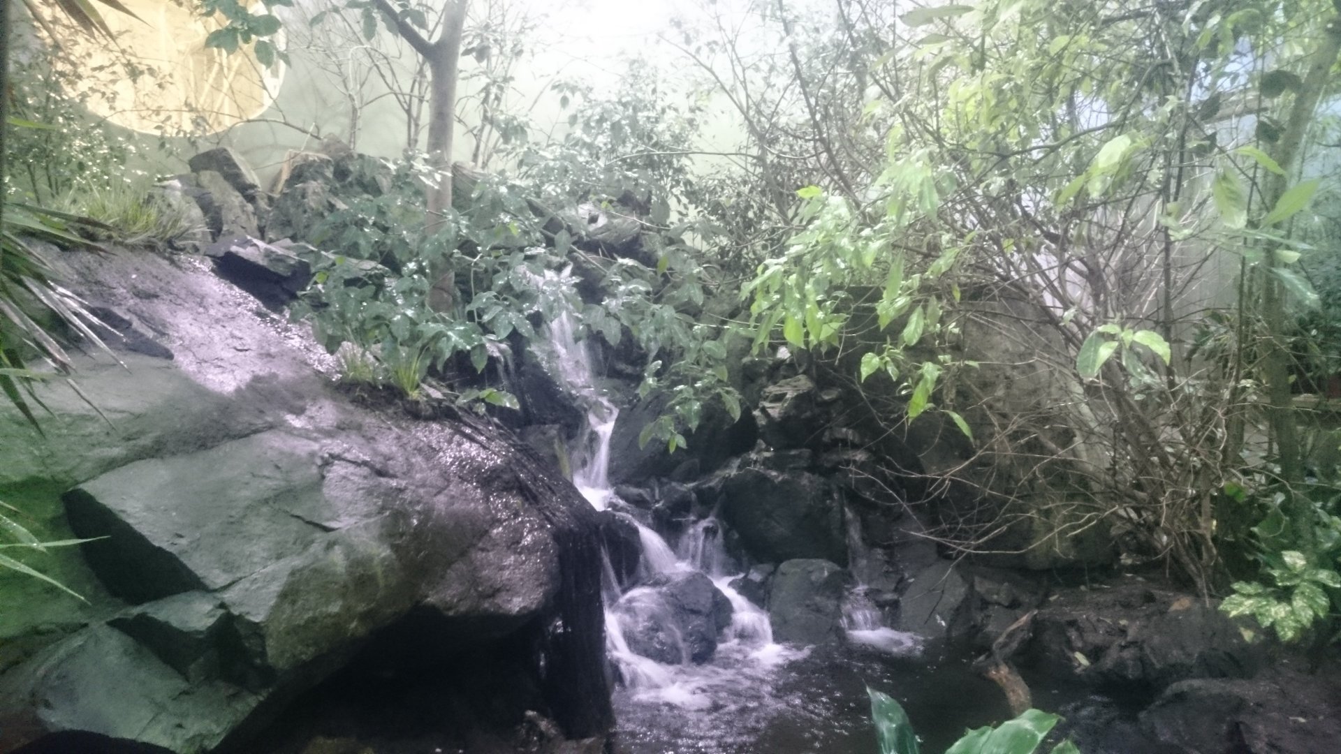 Waterfall Sichuan Hall