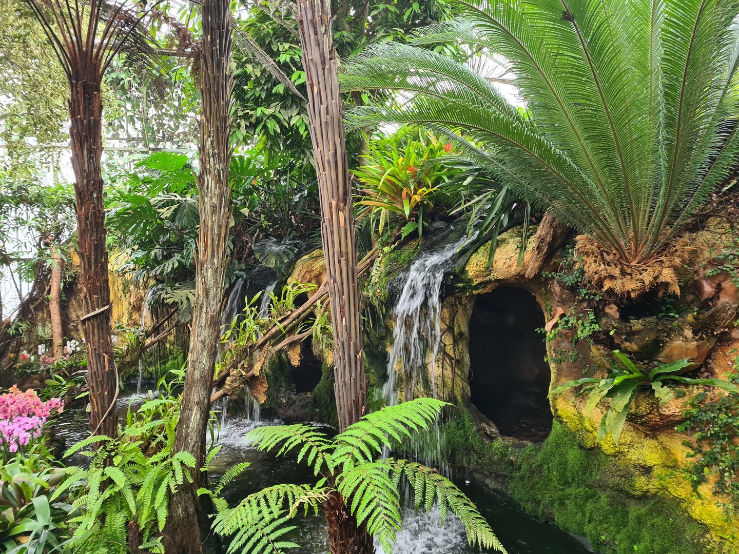 Waterfall site in Orchid garden hall