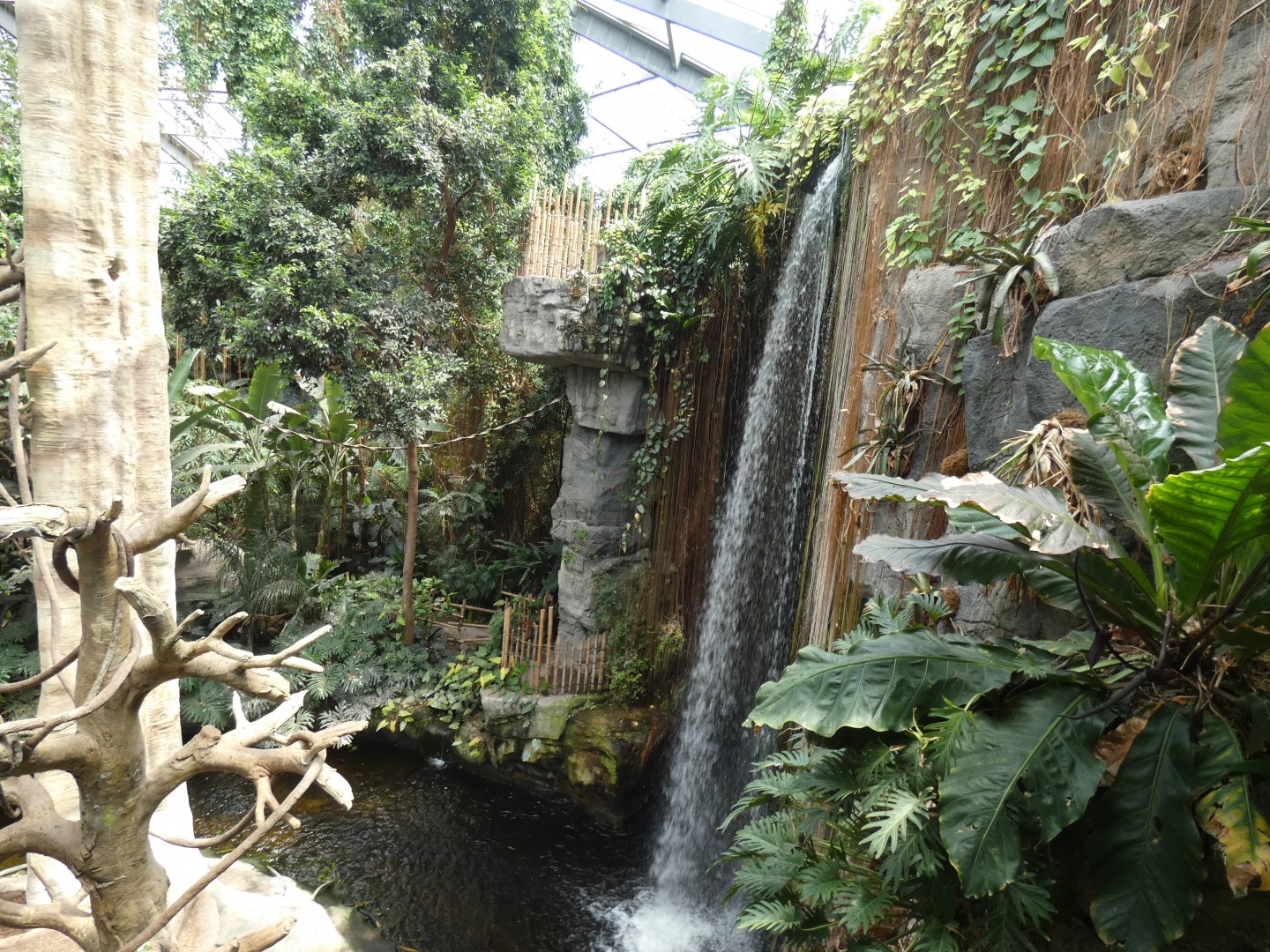 Waterfall, South America, Lied Jungle - Jun. 2021