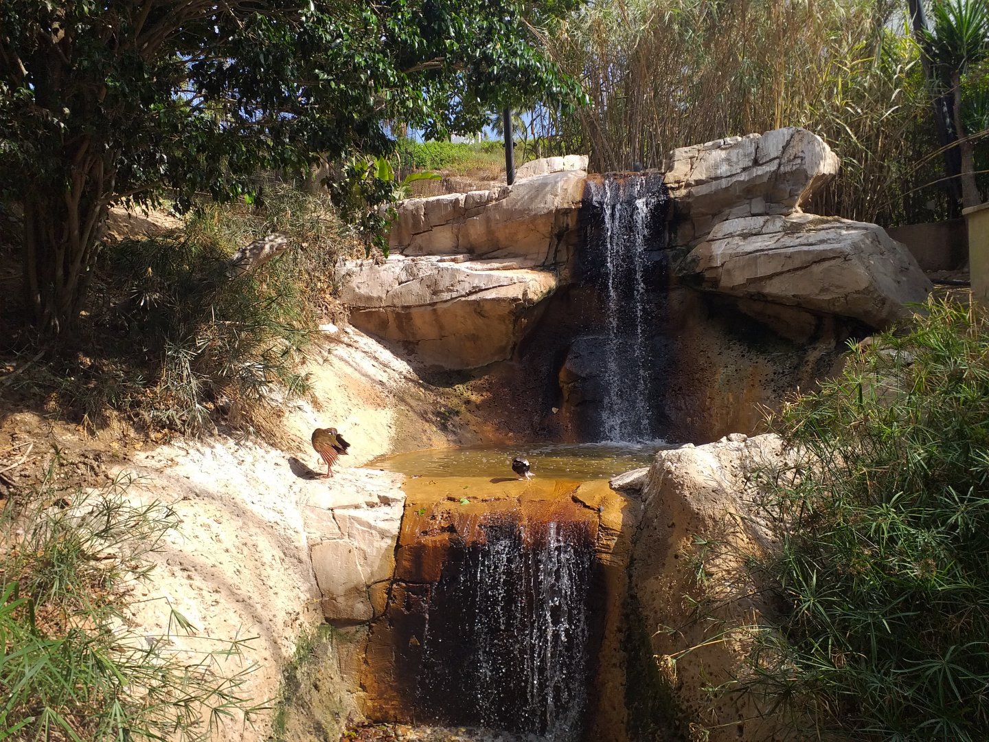 Waterfall -TerraNatura Benidorm (2021)