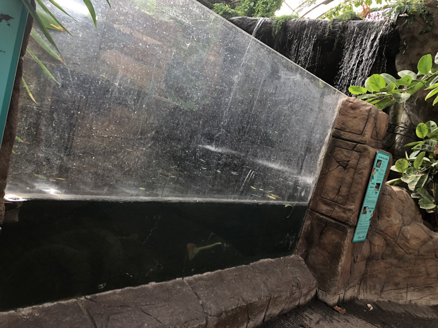 Waterfall Underwater Viewing at Tropical World (March 2019)