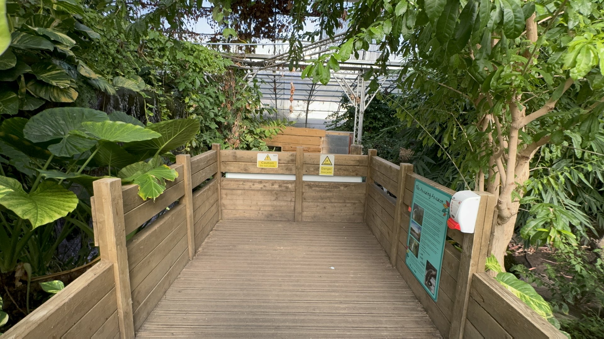 Waterfall Viewing Area at Tropical World (October 2024)