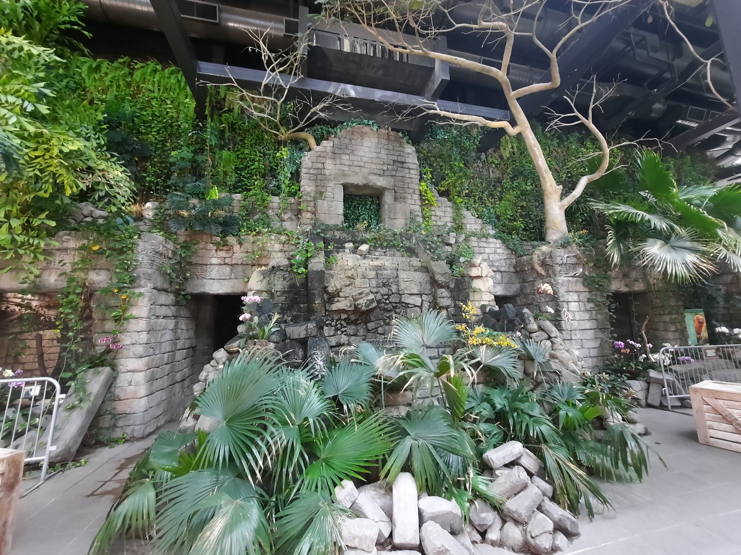 Waterfall Without Water