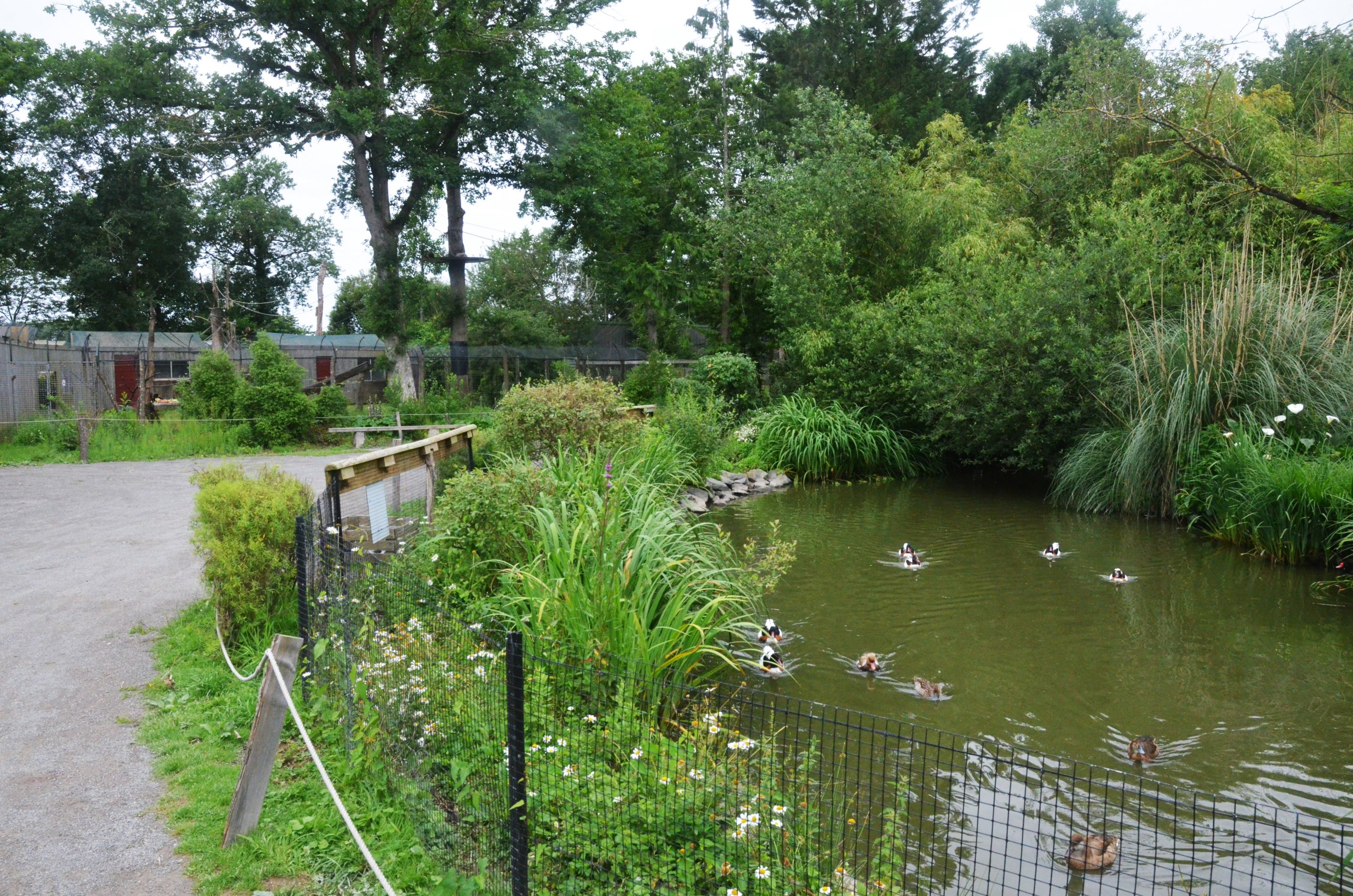 Waterfowl and Brown Capuchin Enclosures at Spaycific'Zoo, 13/06/18
