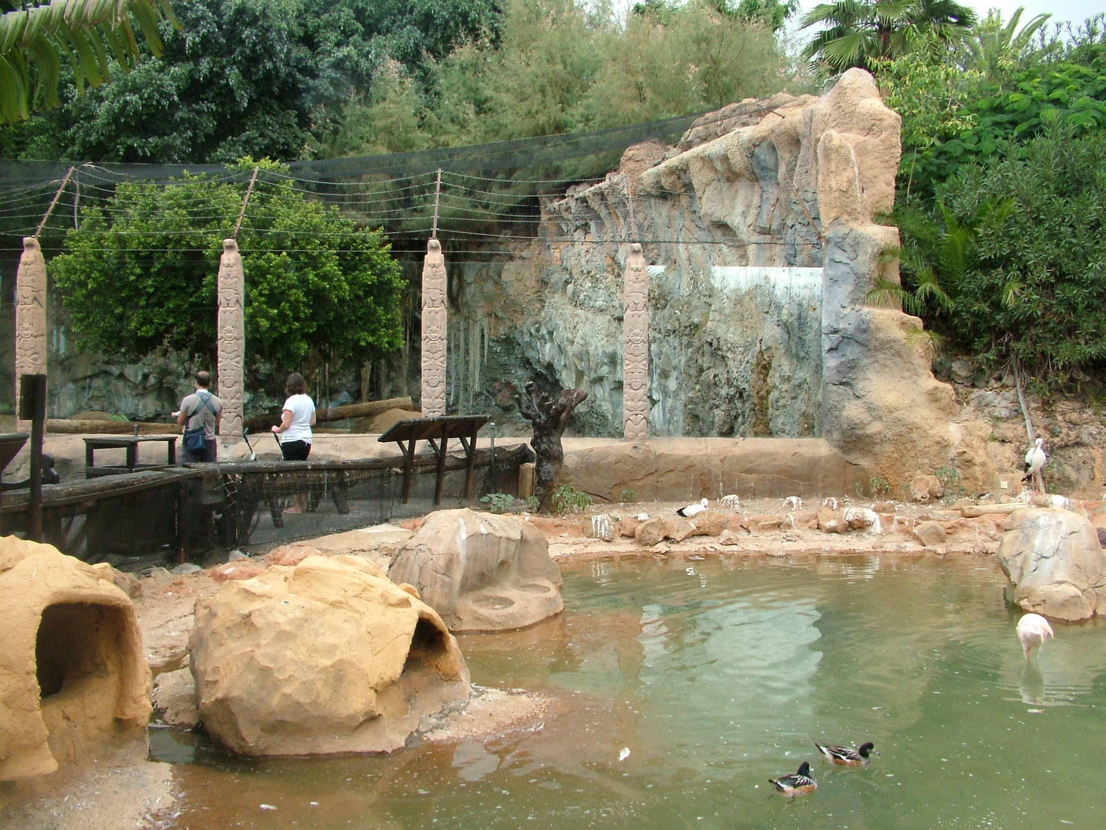 Waterfowl and Lion Exhibits at Jungle Park (Las Aguilas), 13/11/10