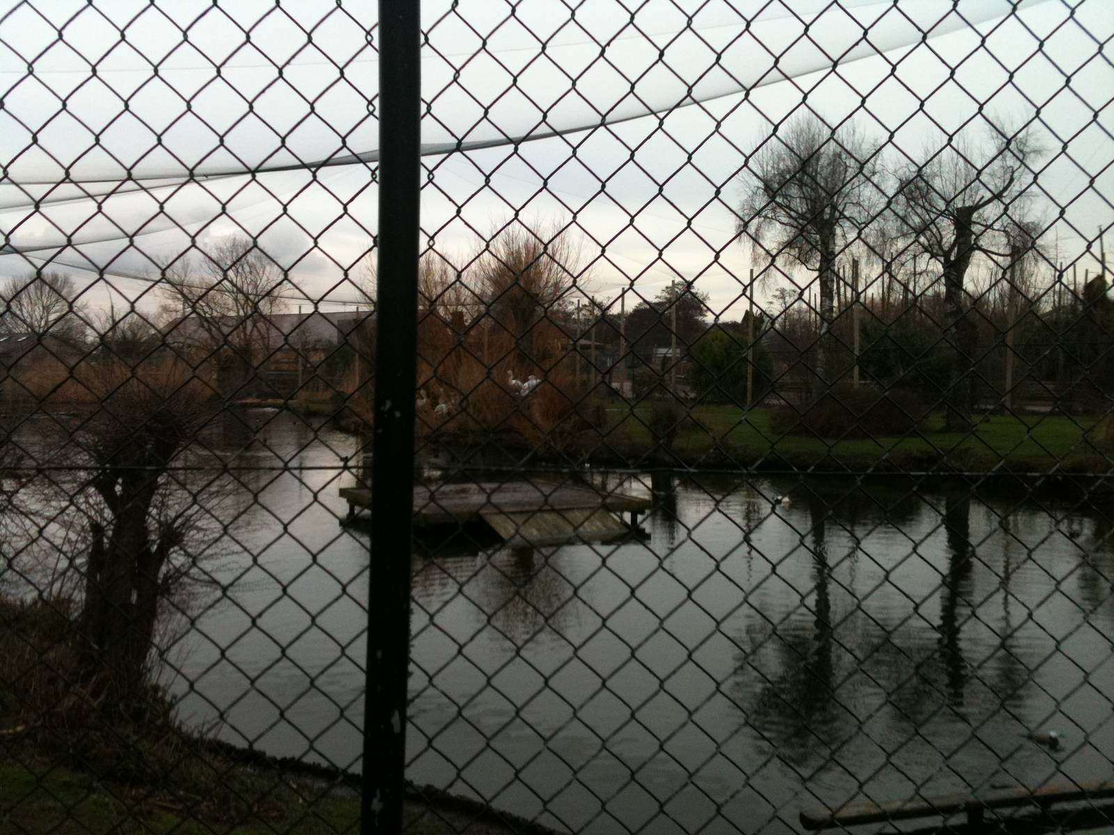 Waterfowl and Pelican Aviary (?) - 16/02/2011