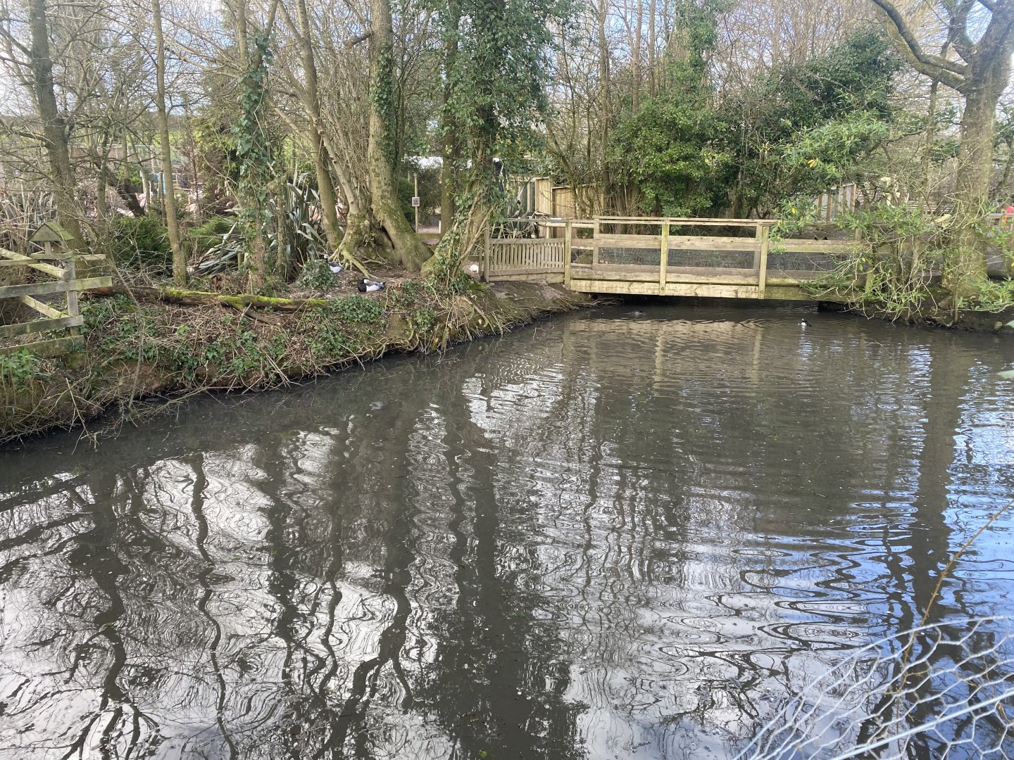 Waterfowl area 250222