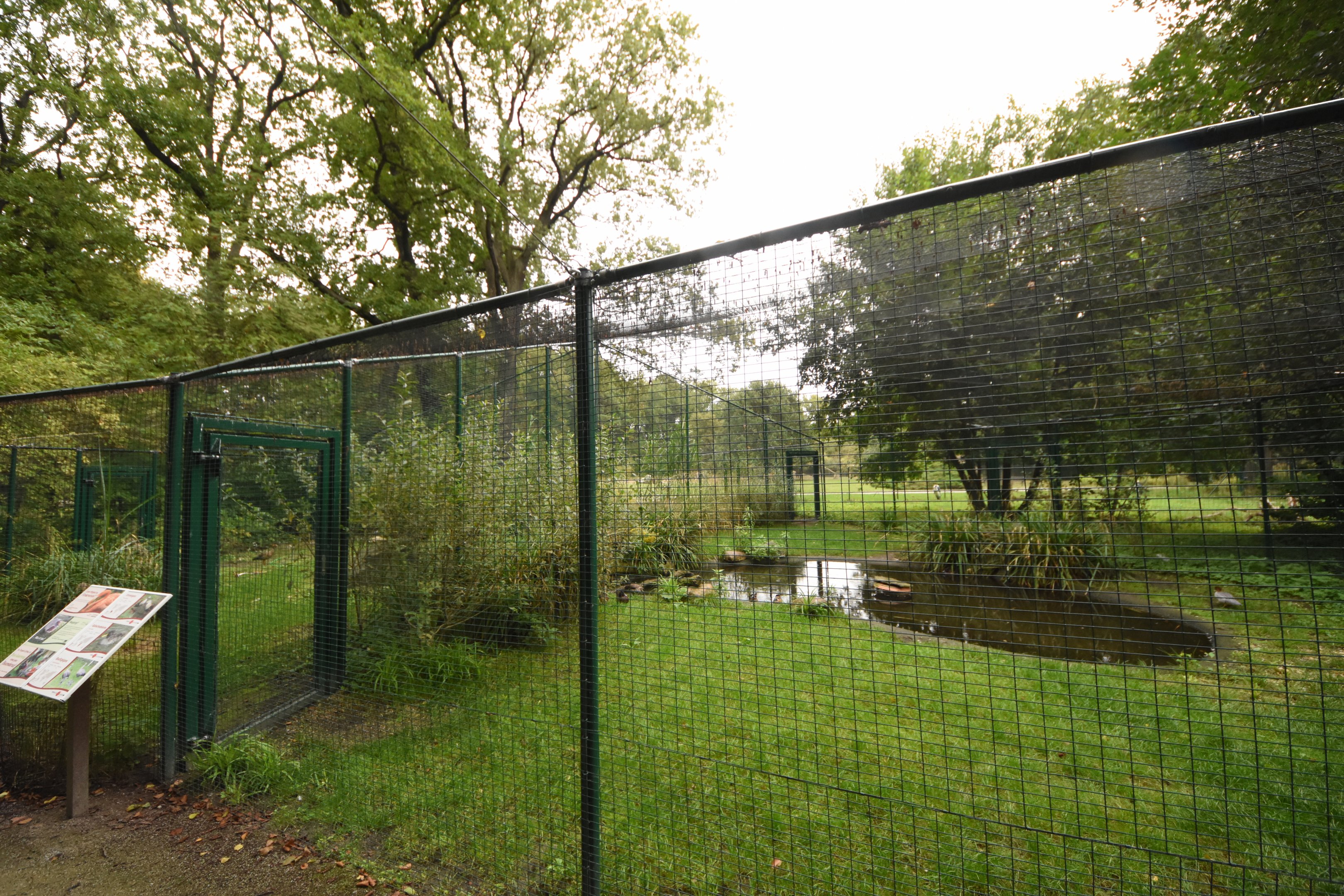 Waterfowl aviaries