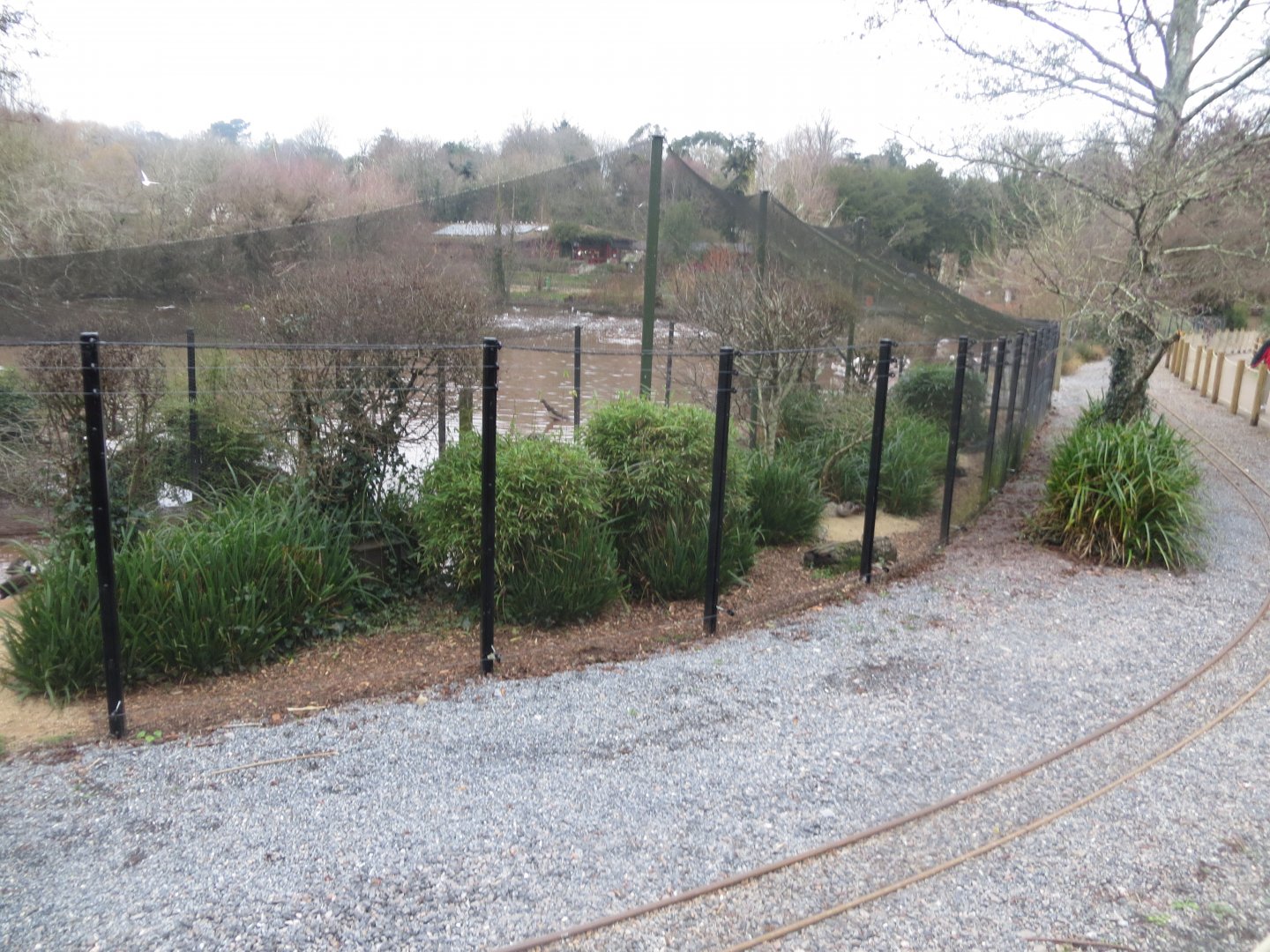 Waterfowl aviary 050119