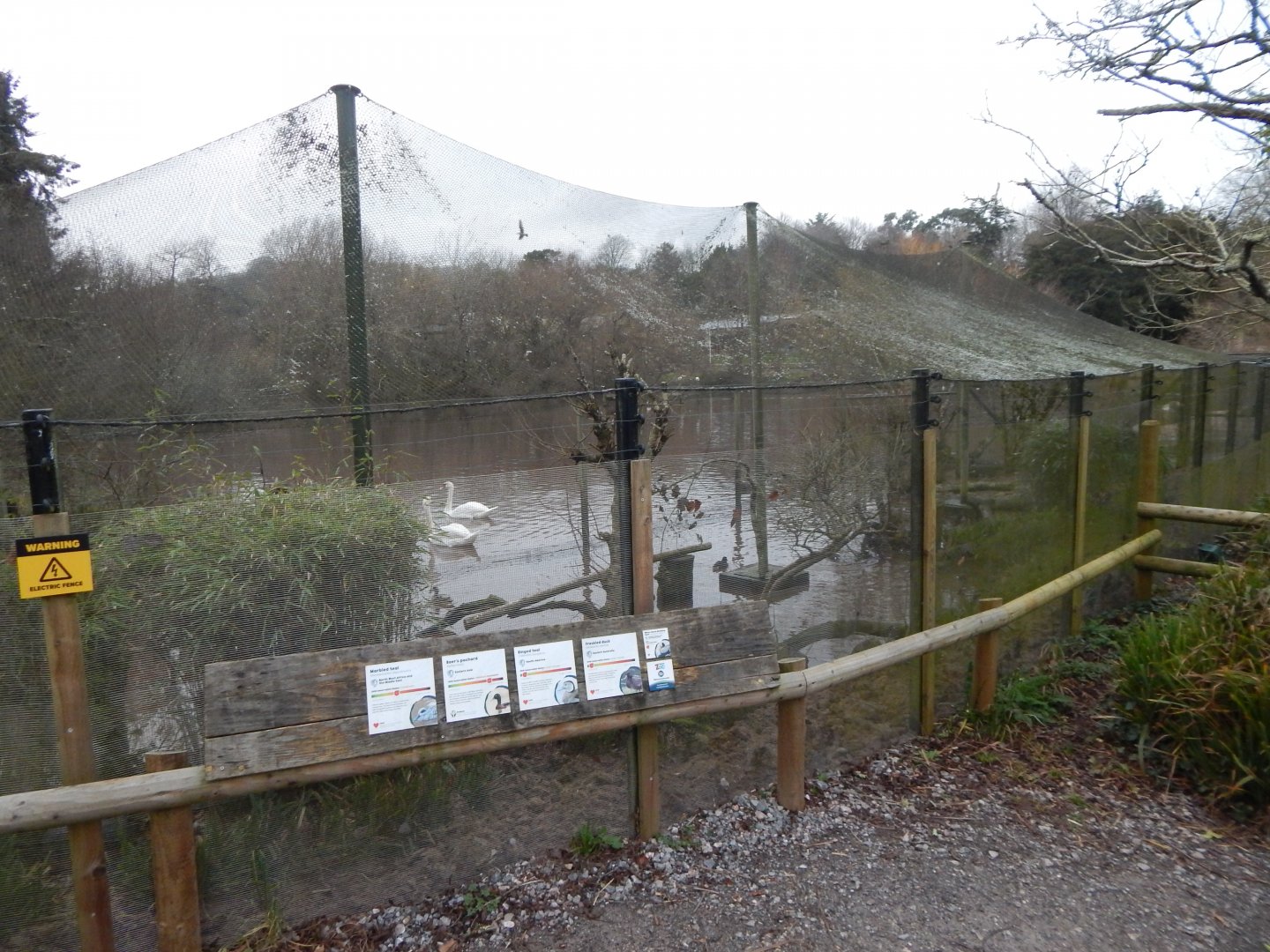 Waterfowl aviary 050224