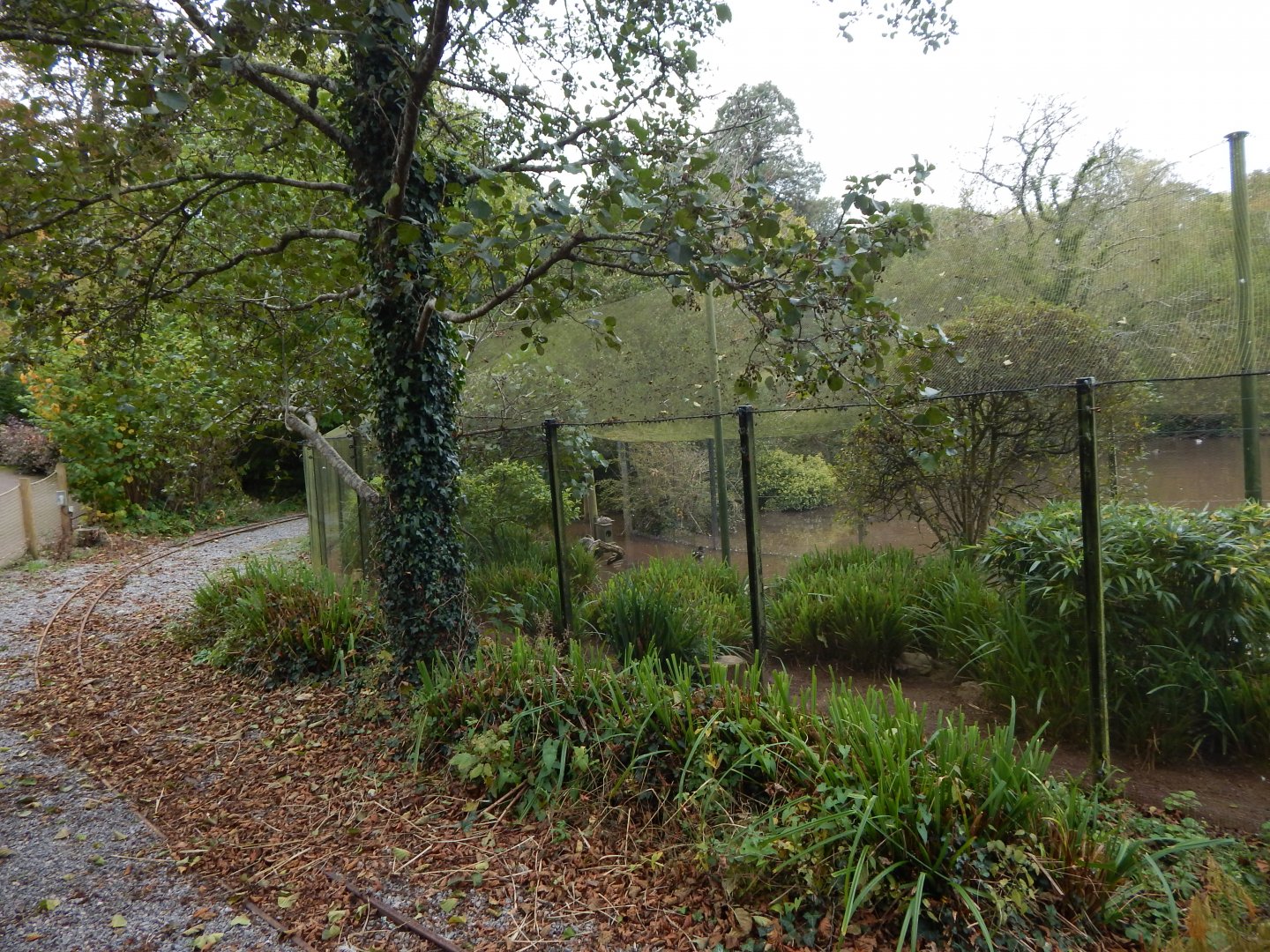 Waterfowl aviary 181020