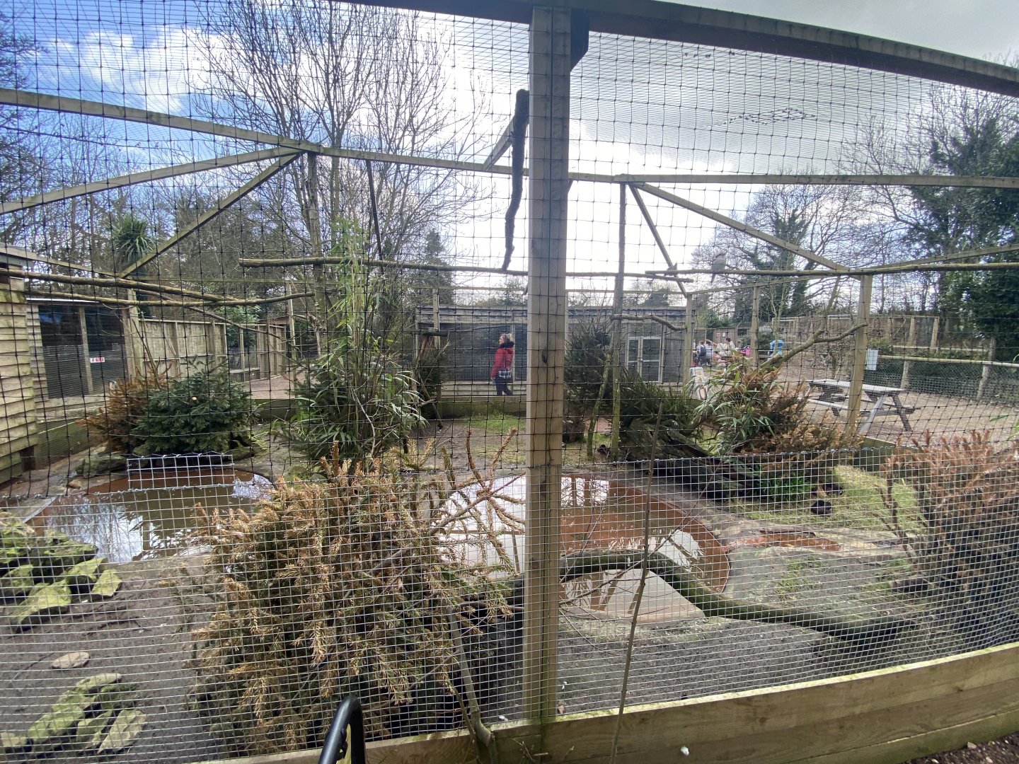 Waterfowl aviary 250222