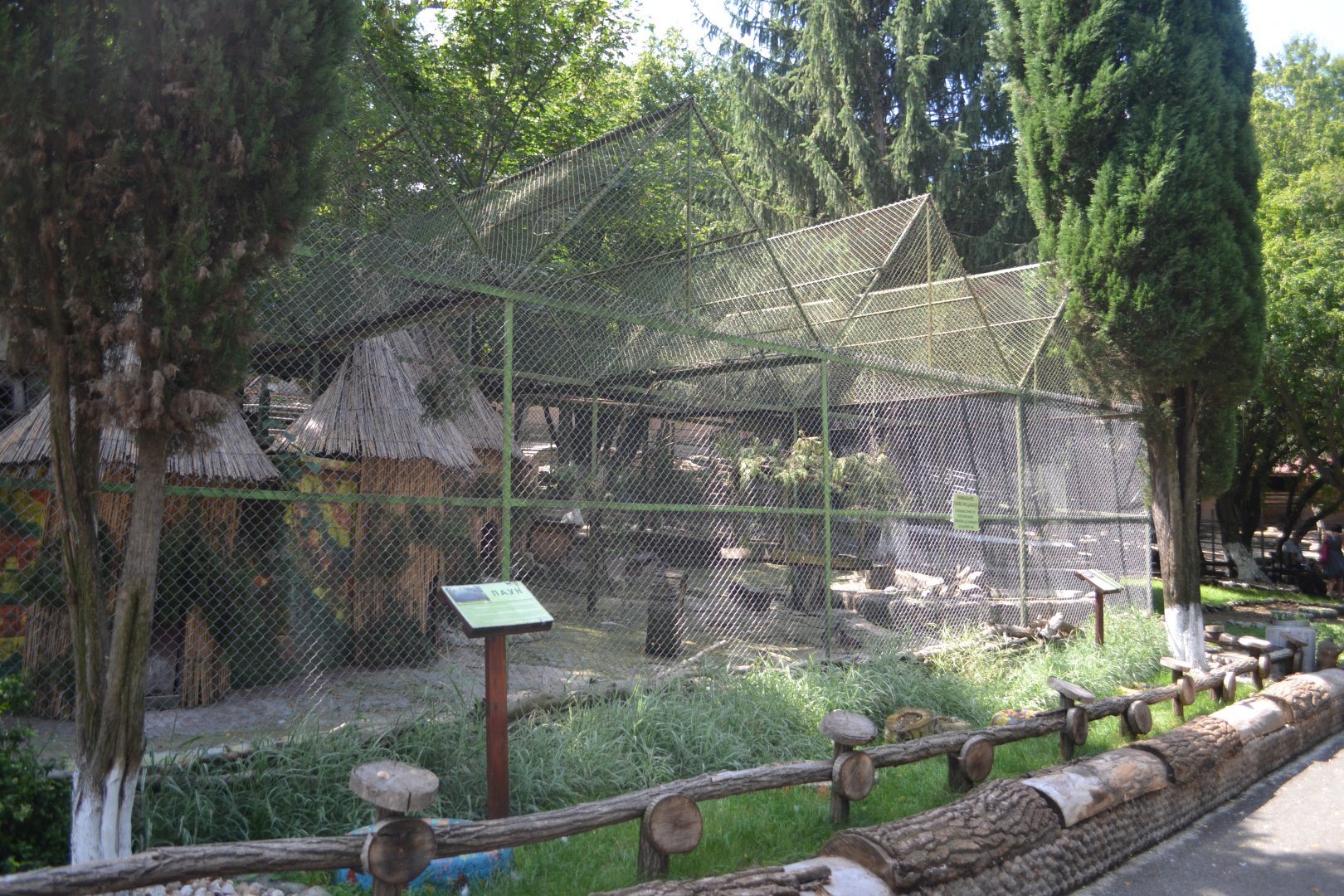 Waterfowl aviary for mandarin ducks, wood ducks and Trachemys turtles