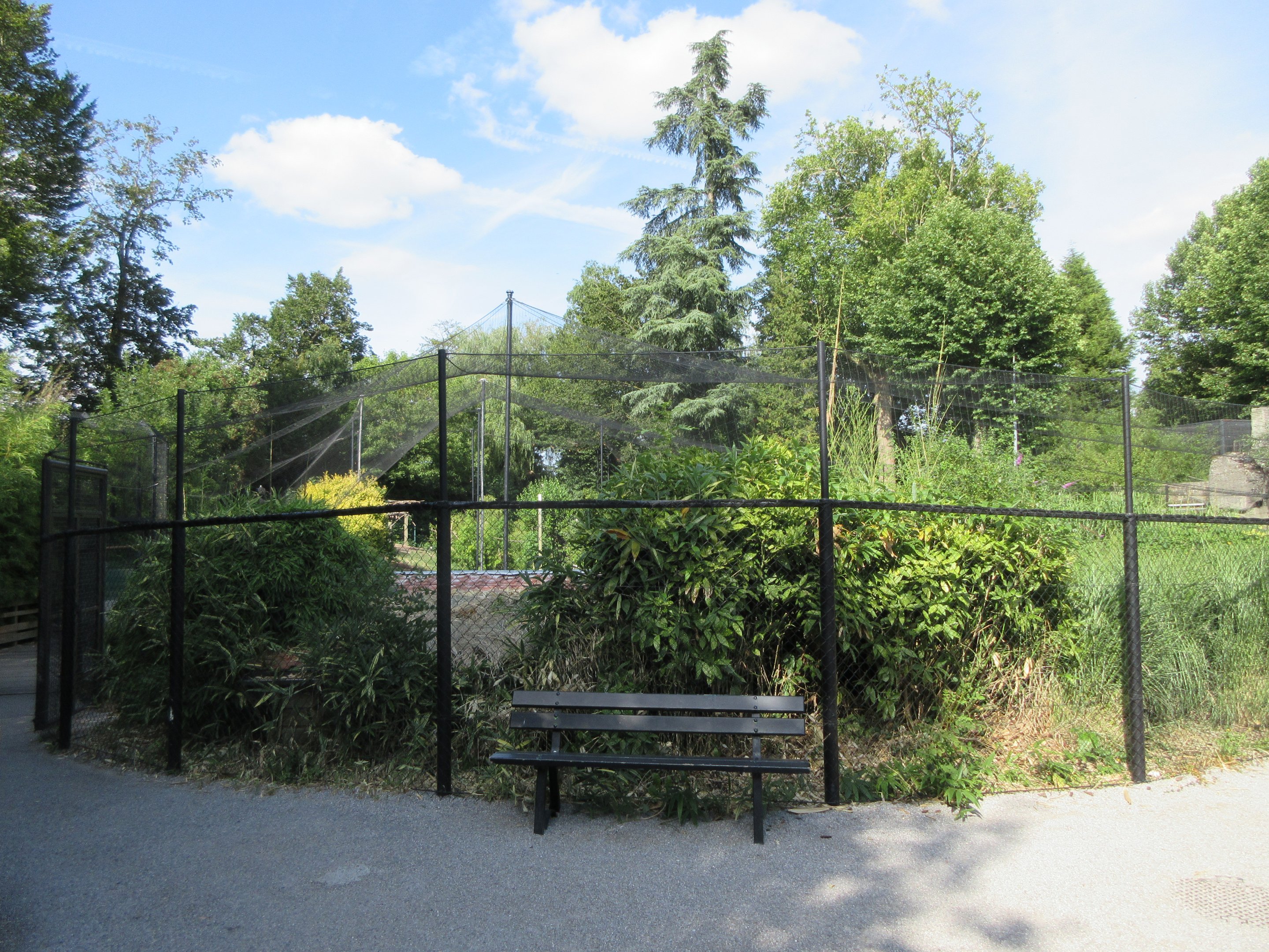 Waterfowl Aviary - huge!