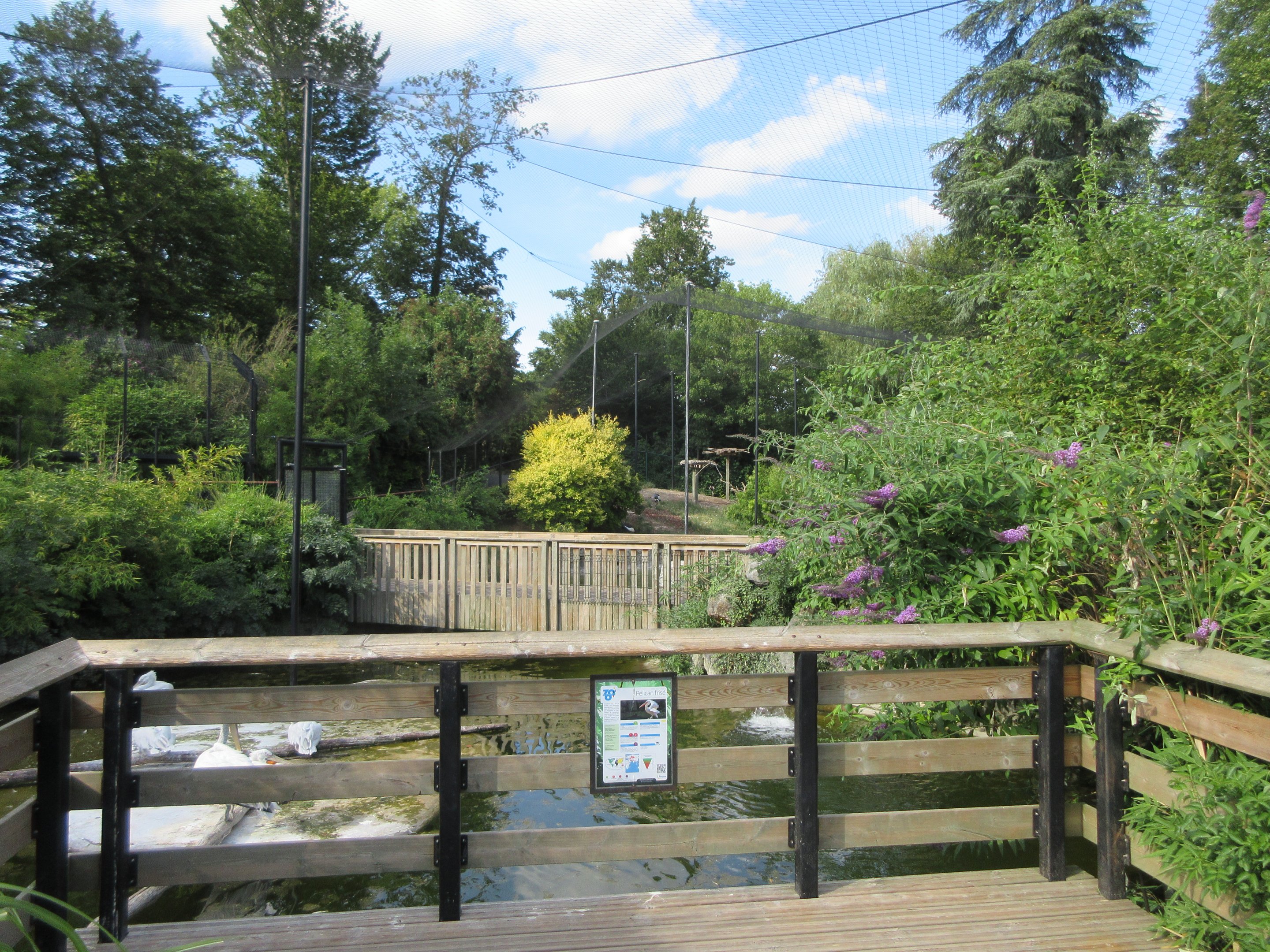 Waterfowl Aviary - huge!