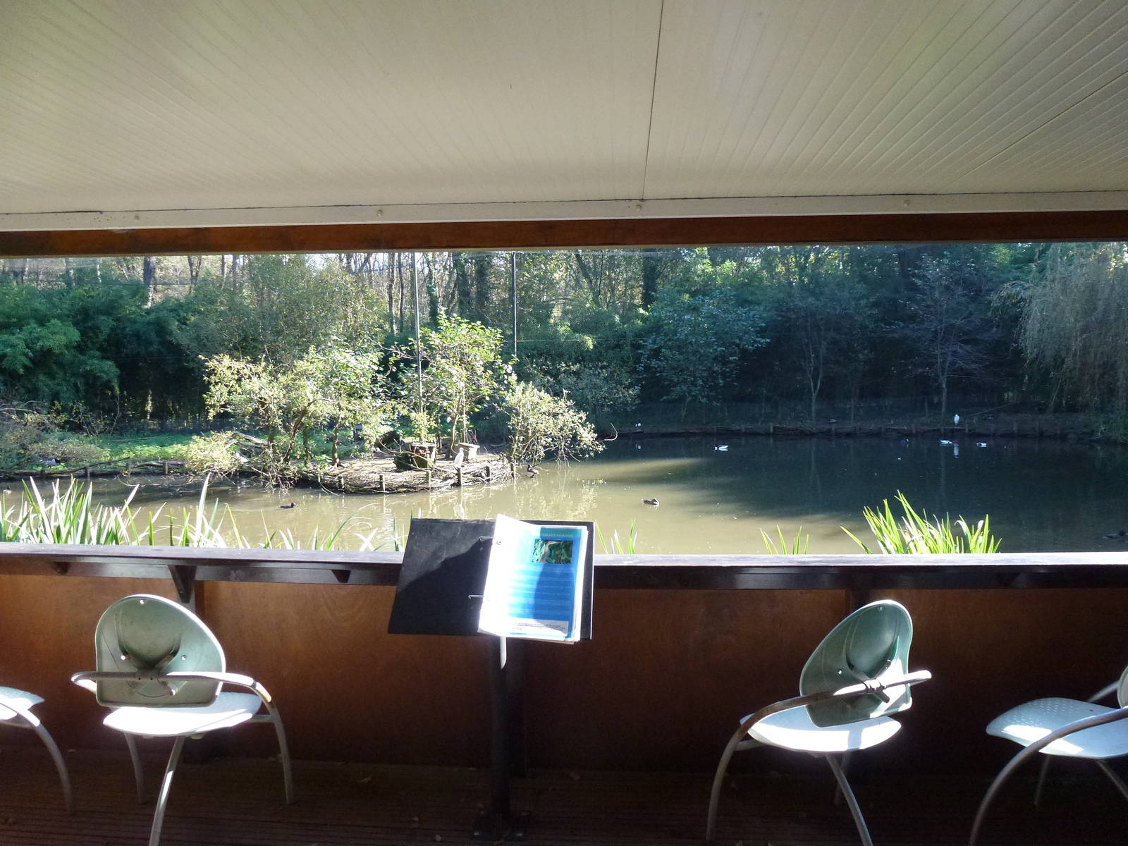 Waterfowl aviary, November 2013.