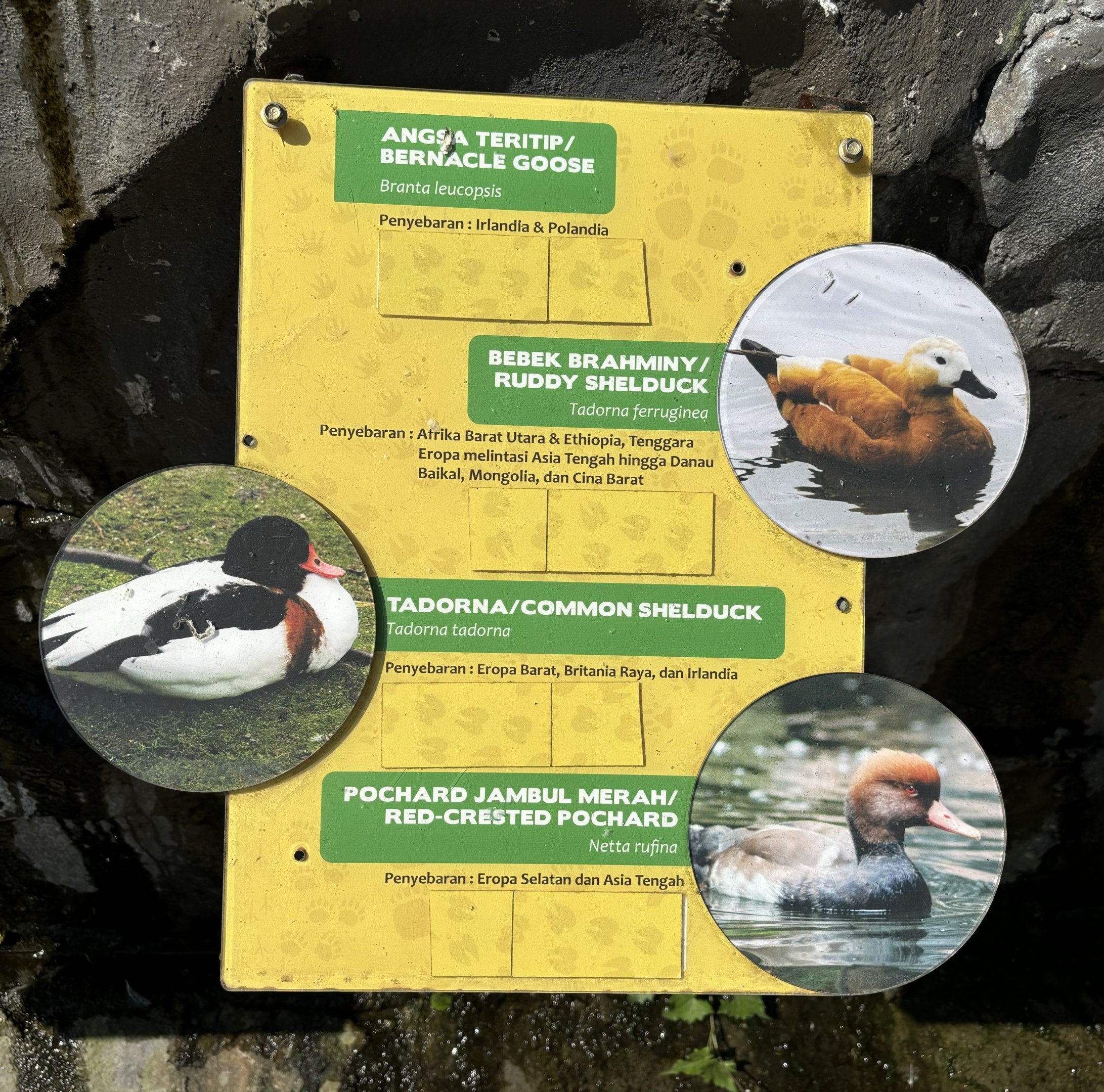 Waterfowl Aviary - Sign #1 of 4