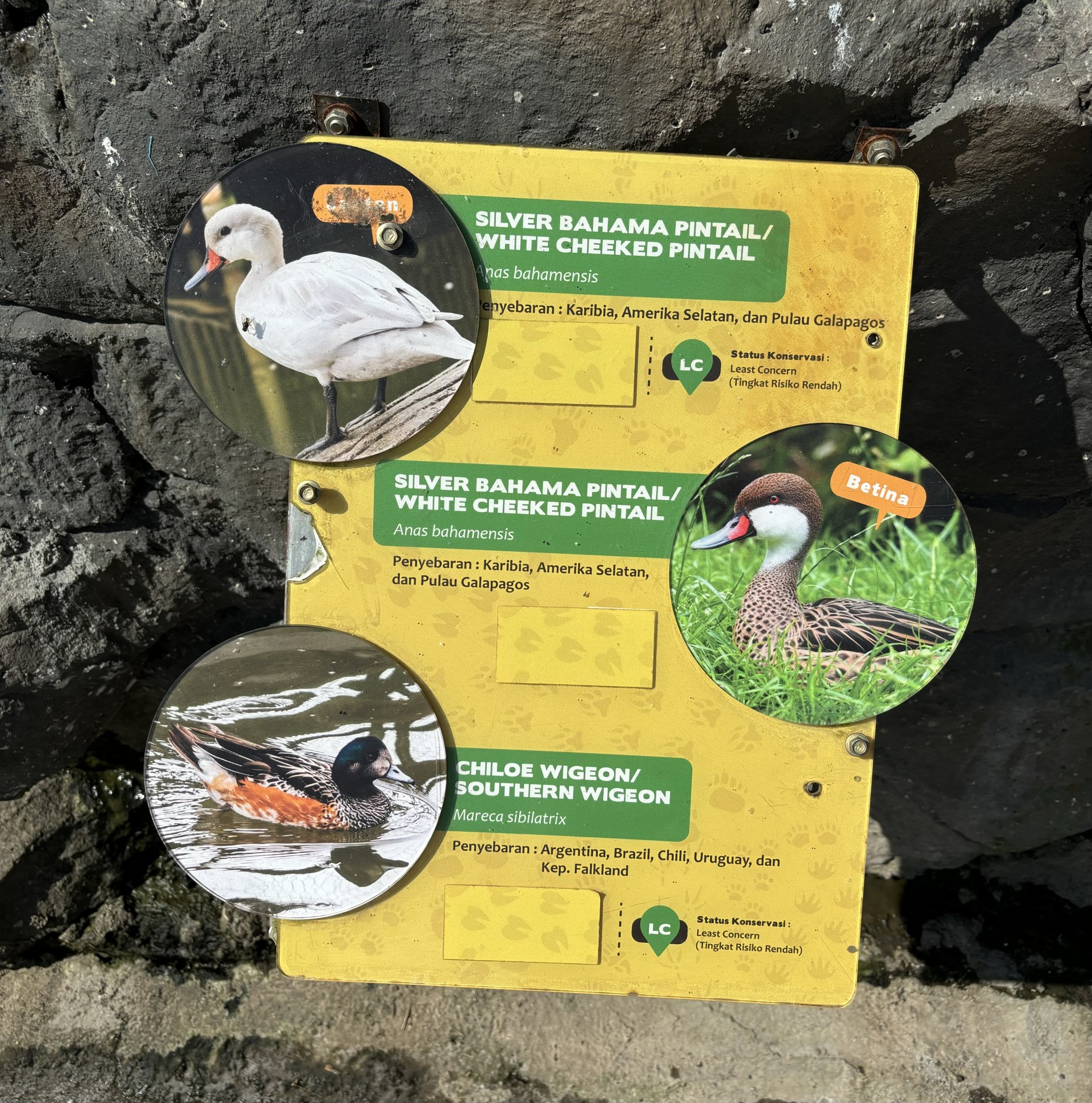 Waterfowl Aviary - Sign #4 of 4