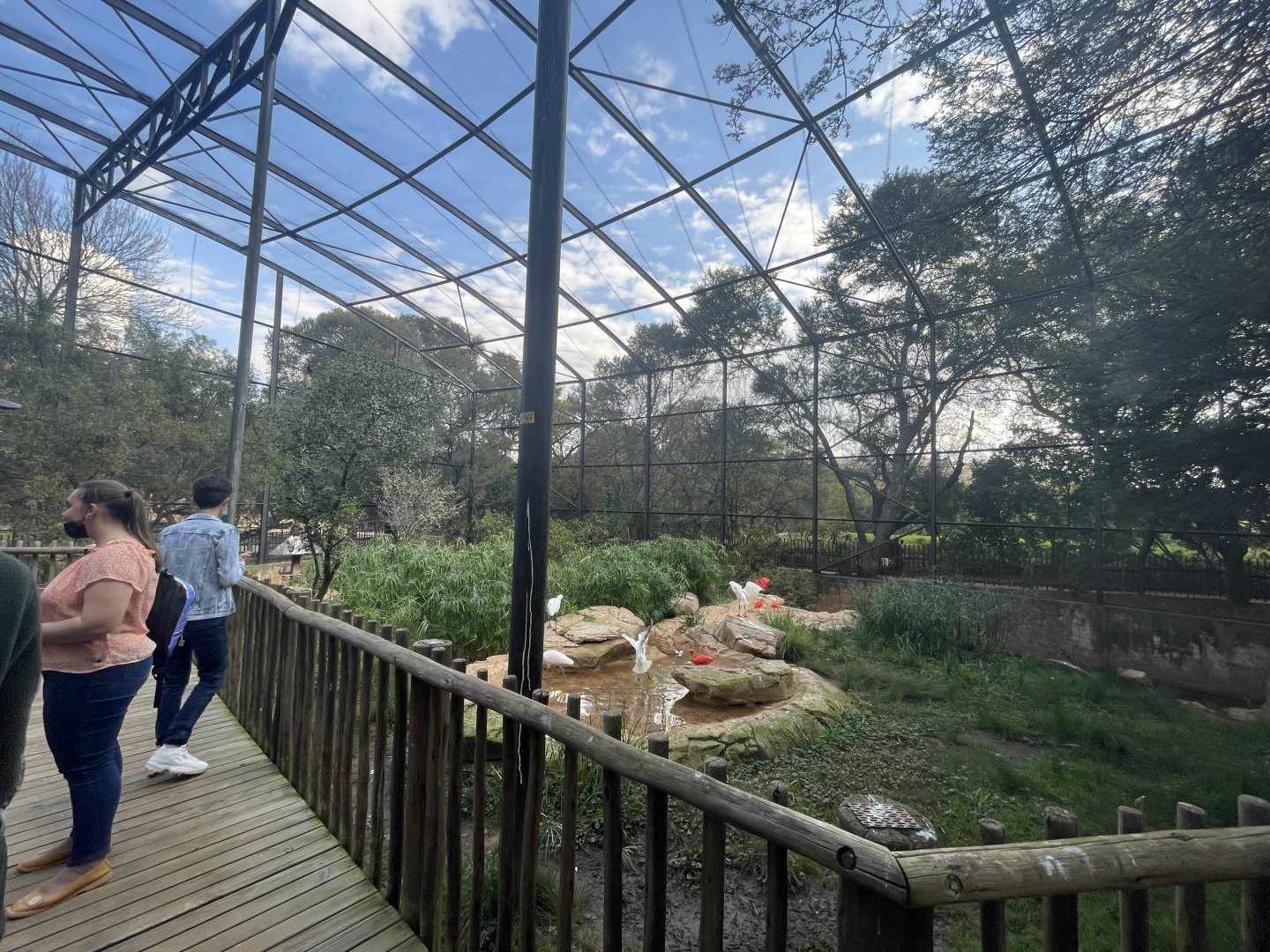 Waterfowl Aviary