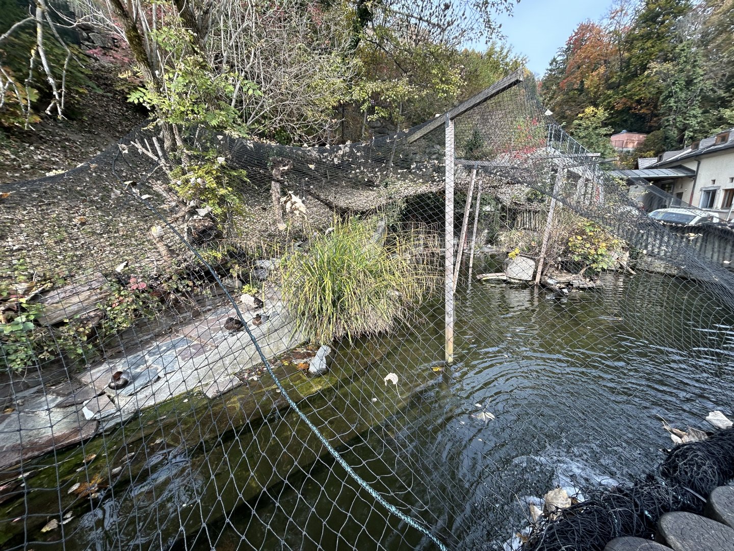 Waterfowl Aviary