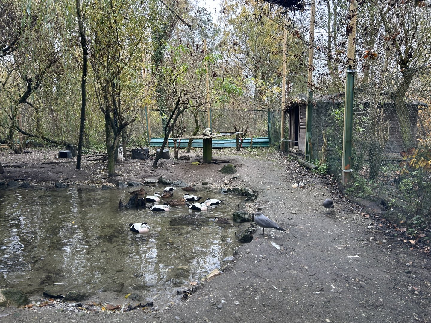 Waterfowl Aviary