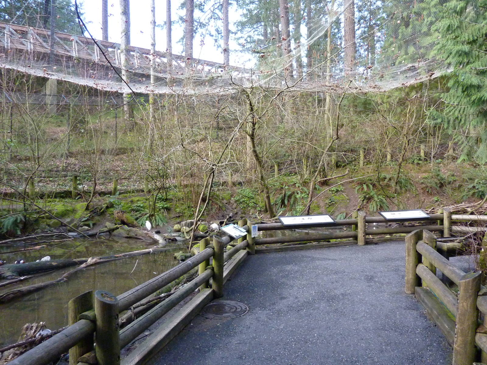Waterfowl Aviary