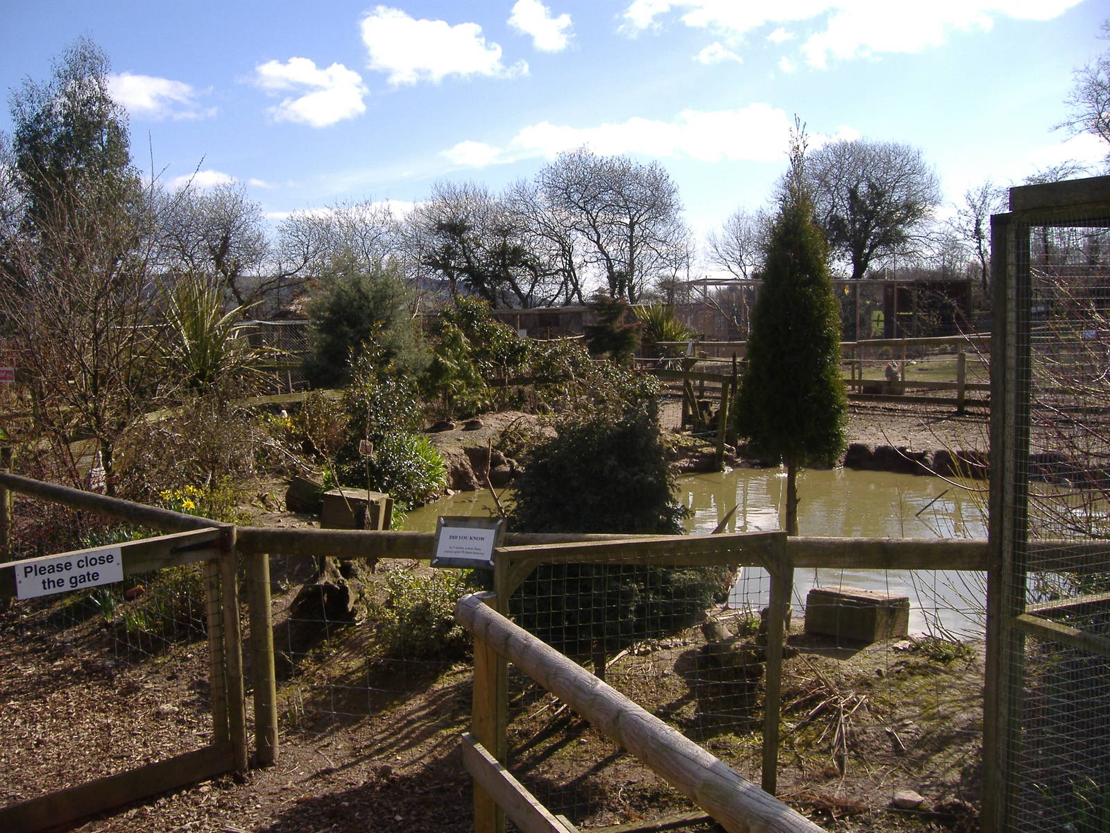 Waterfowl Axe Valley