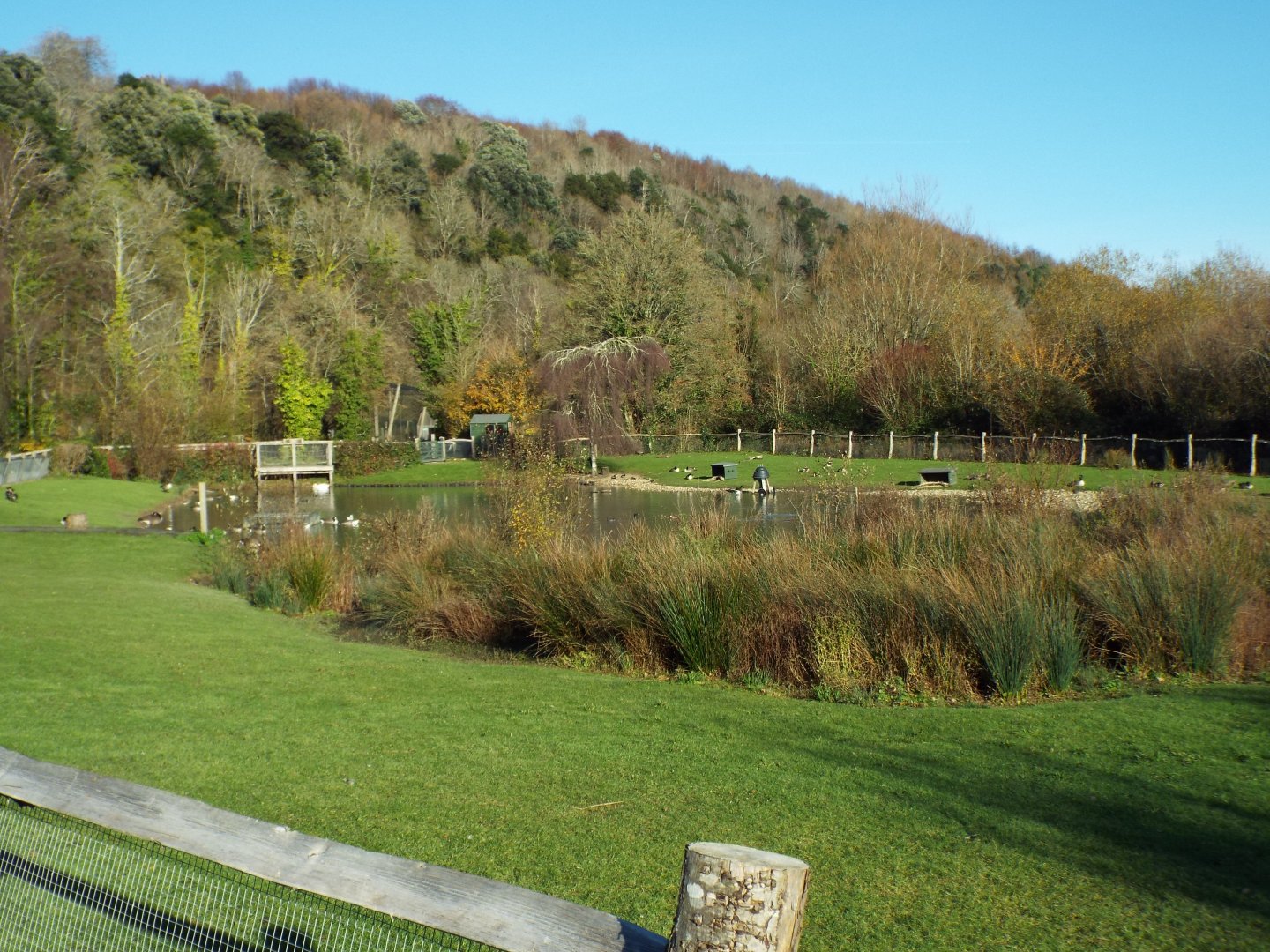 Waterfowl Enclosure Example, WWT Arundel