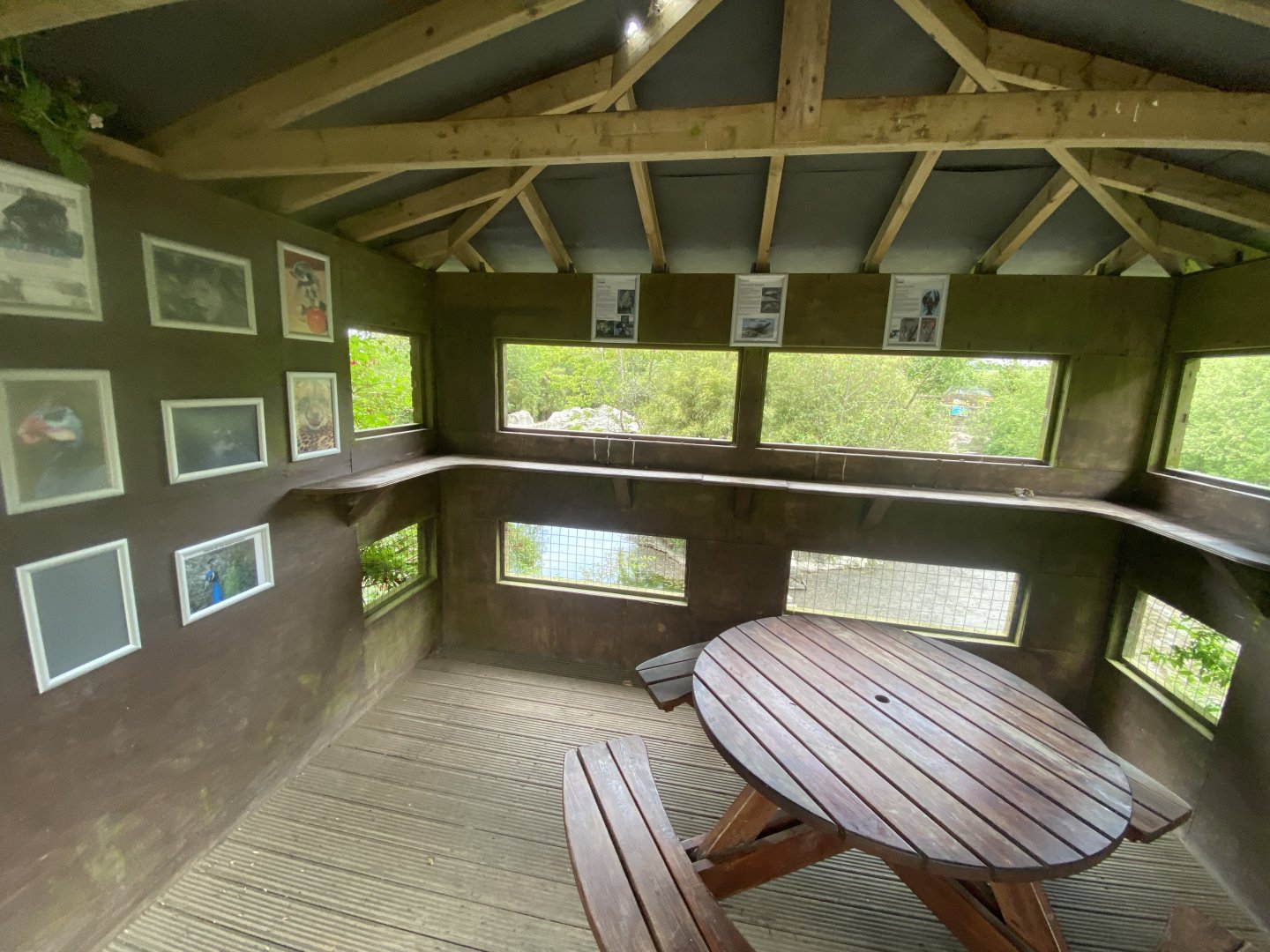 Waterfowl enclosure lookout 150522