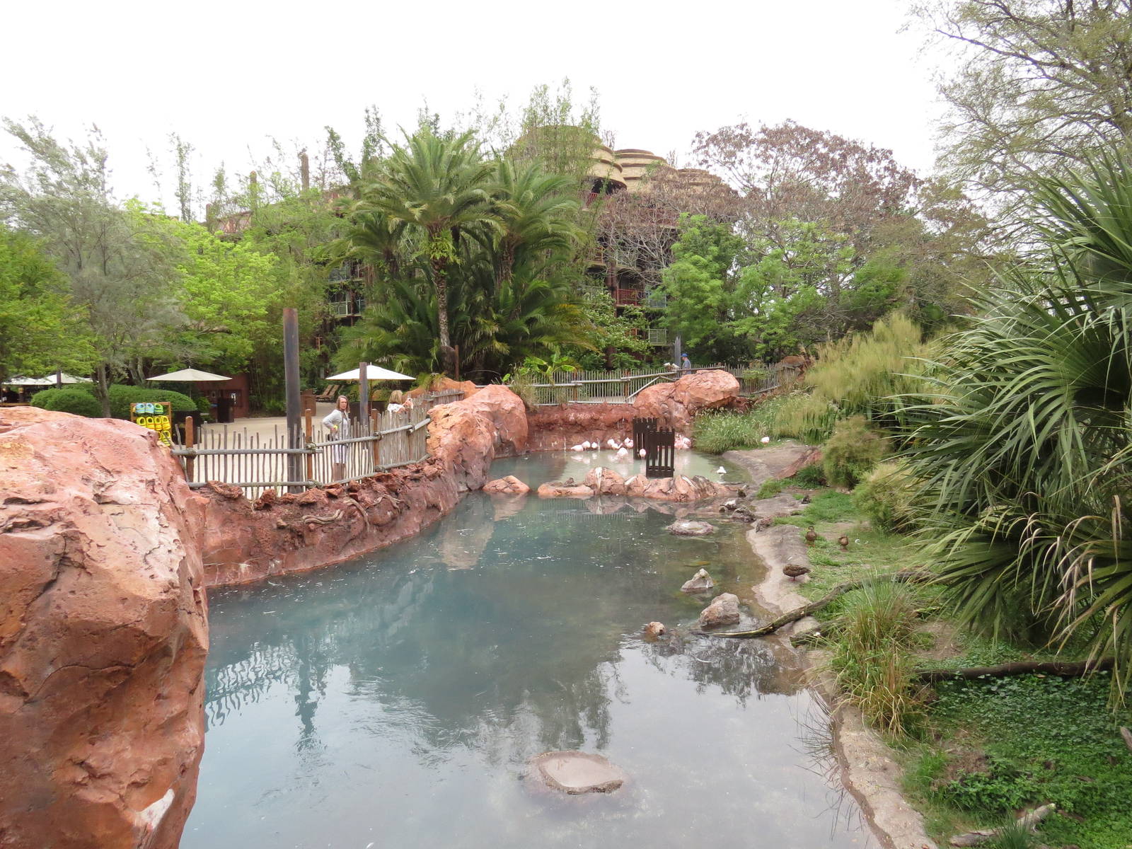 Waterfowl enclosure, March 2015
