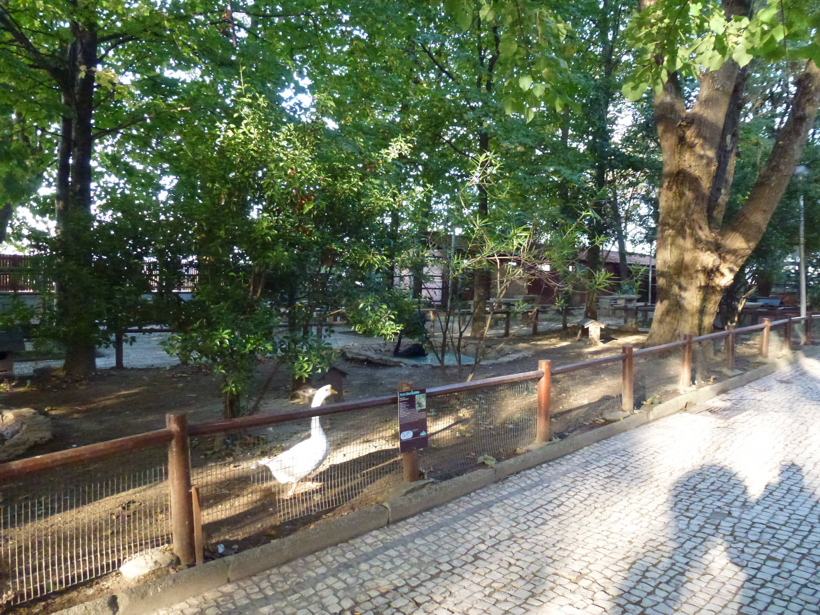 Waterfowl enclosure, November 2013.