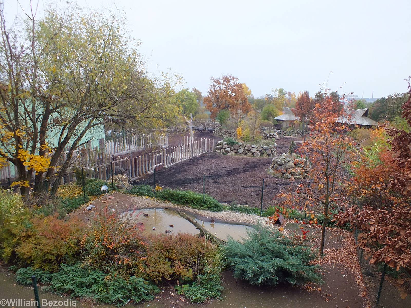 Waterfowl Enclosure with Indian Rhino Outdoor Yard Behind