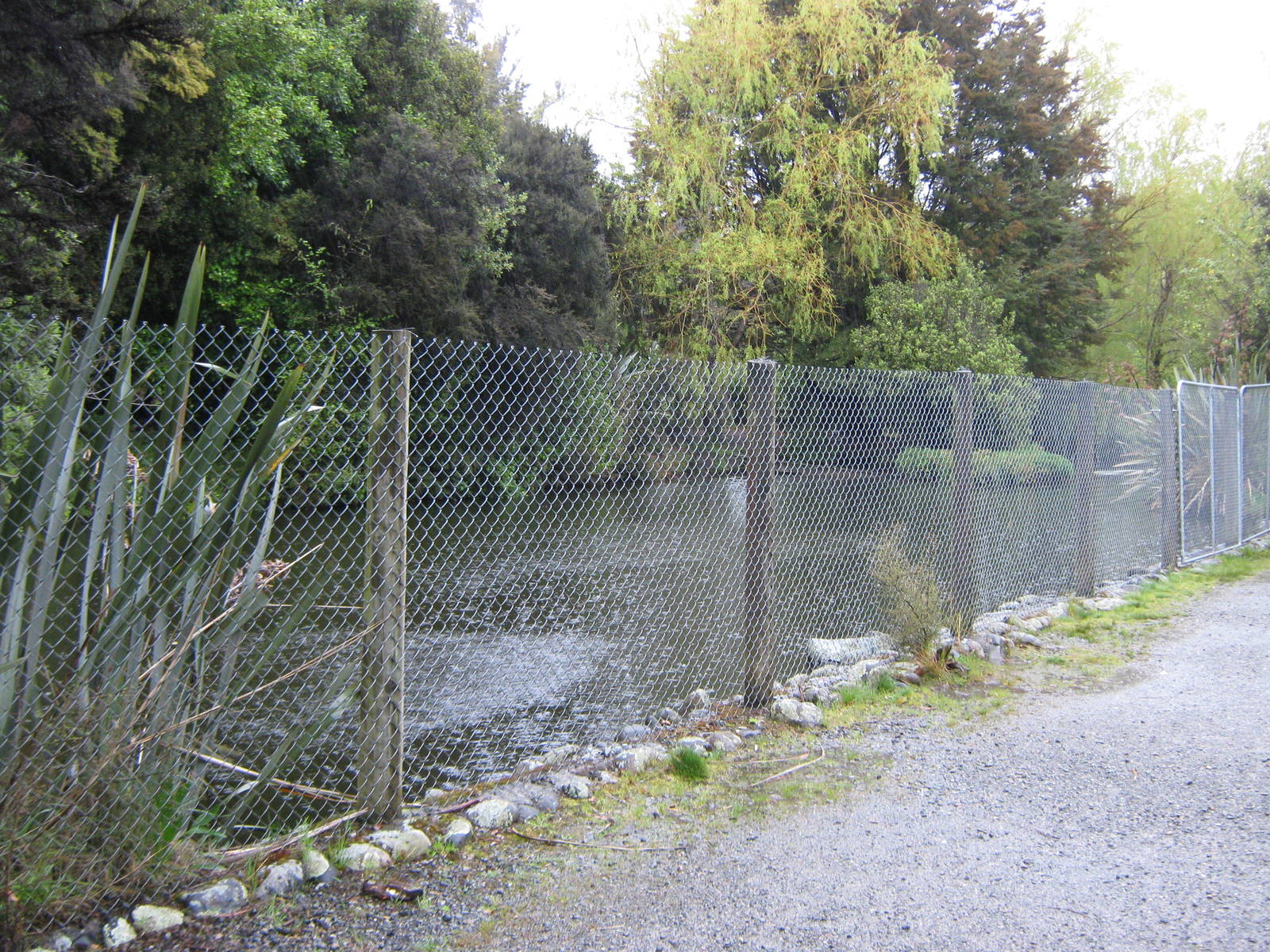 waterfowl enclosure