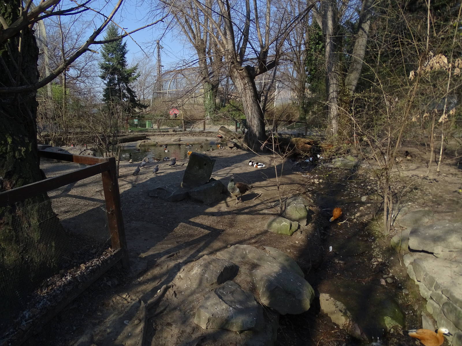 Waterfowl enclosure