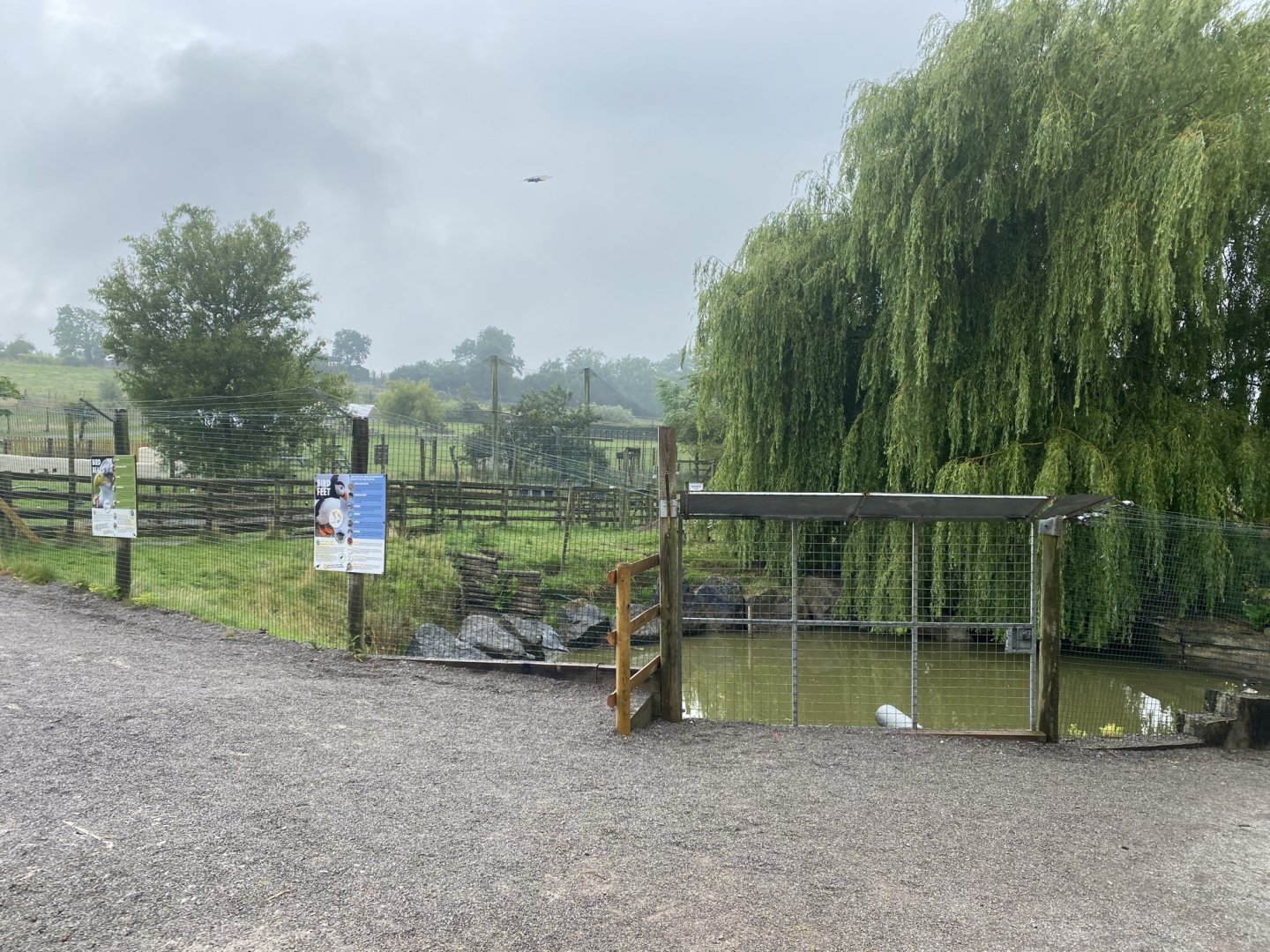 Waterfowl enclosures 240721