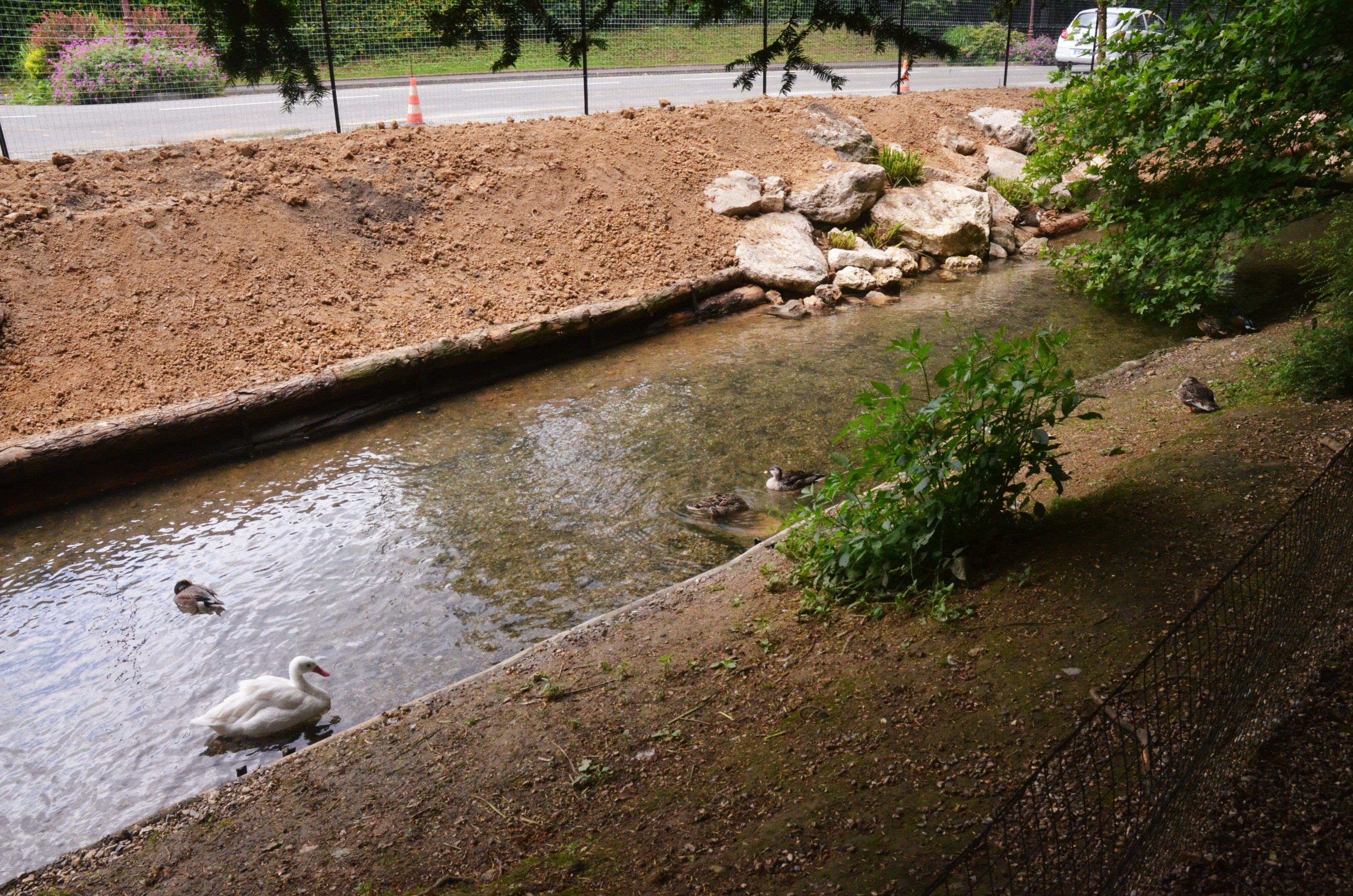 Waterfowl Enclosures at Edge of Park at Clères, 16/06/18