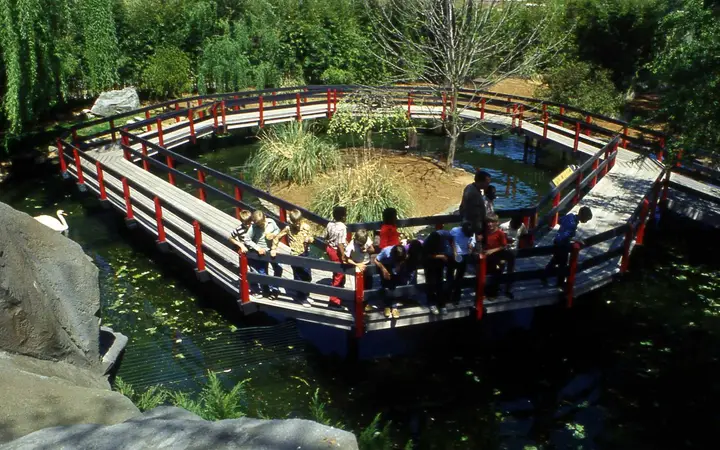 Waterfowl Exhibit 1970's