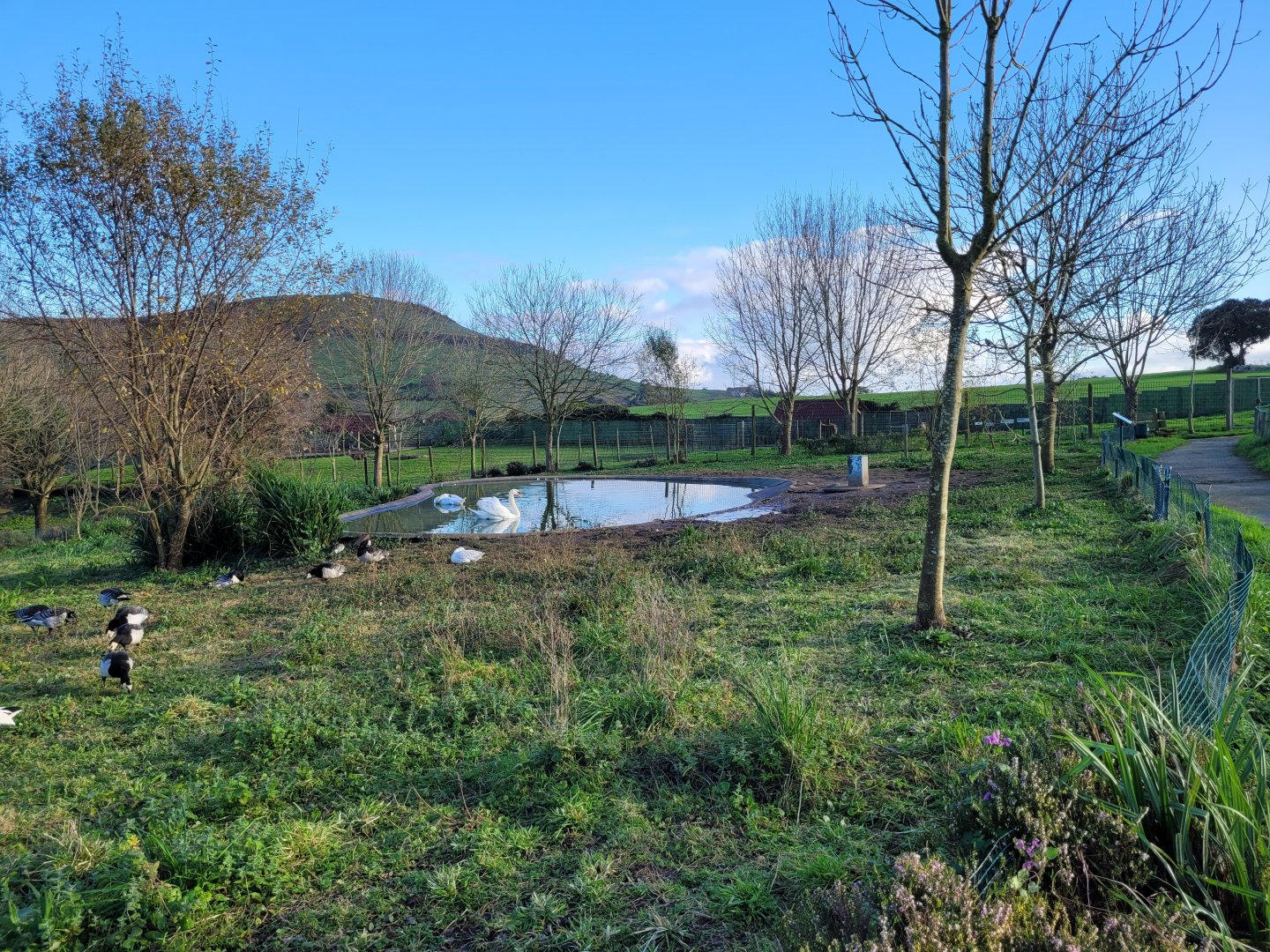 Waterfowl exhibit #2 -Zoo de Santillana del Mar (2023)