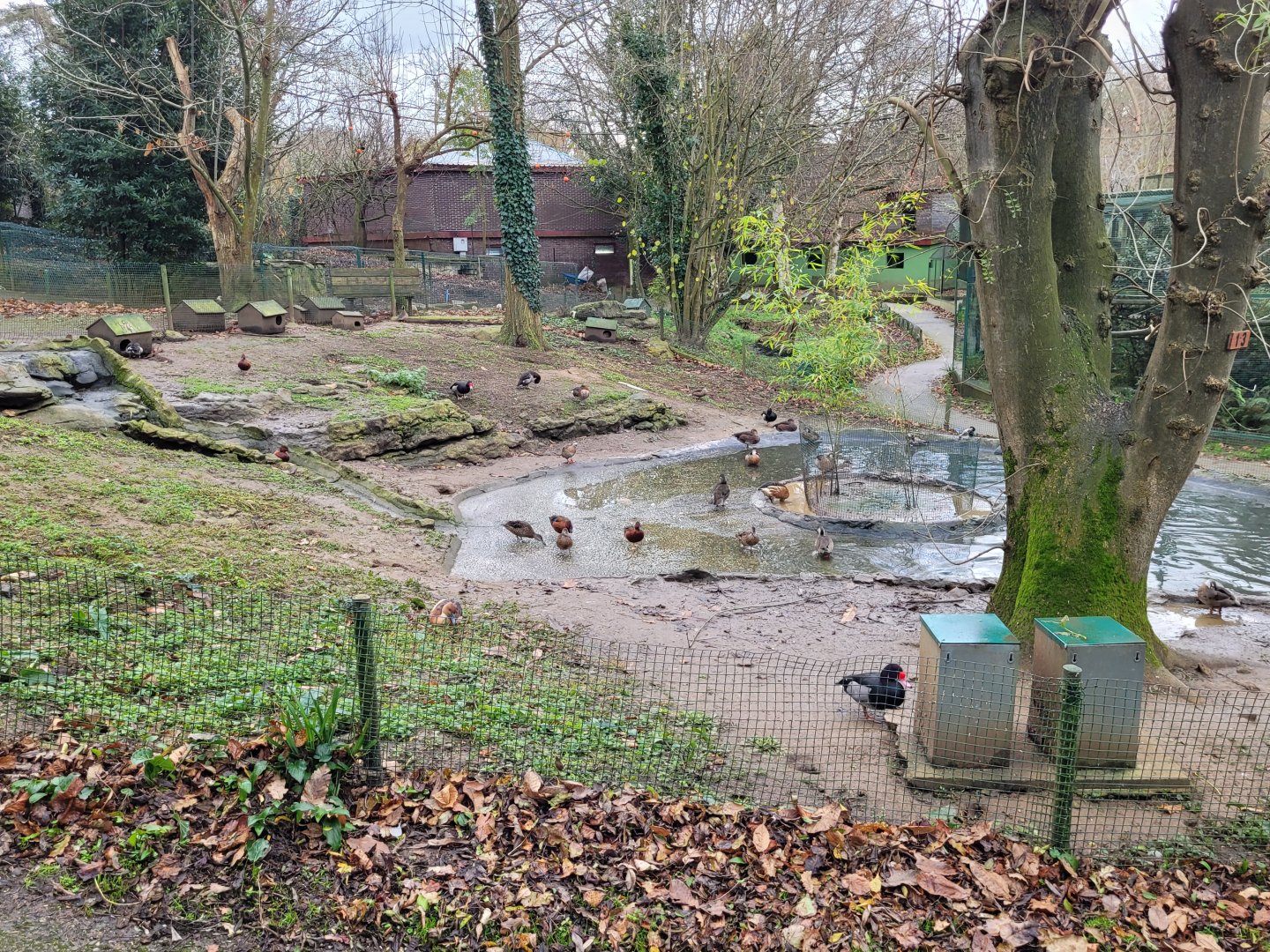 Waterfowl exhibit #4 -Zoo de Santillana del Mar (2023)