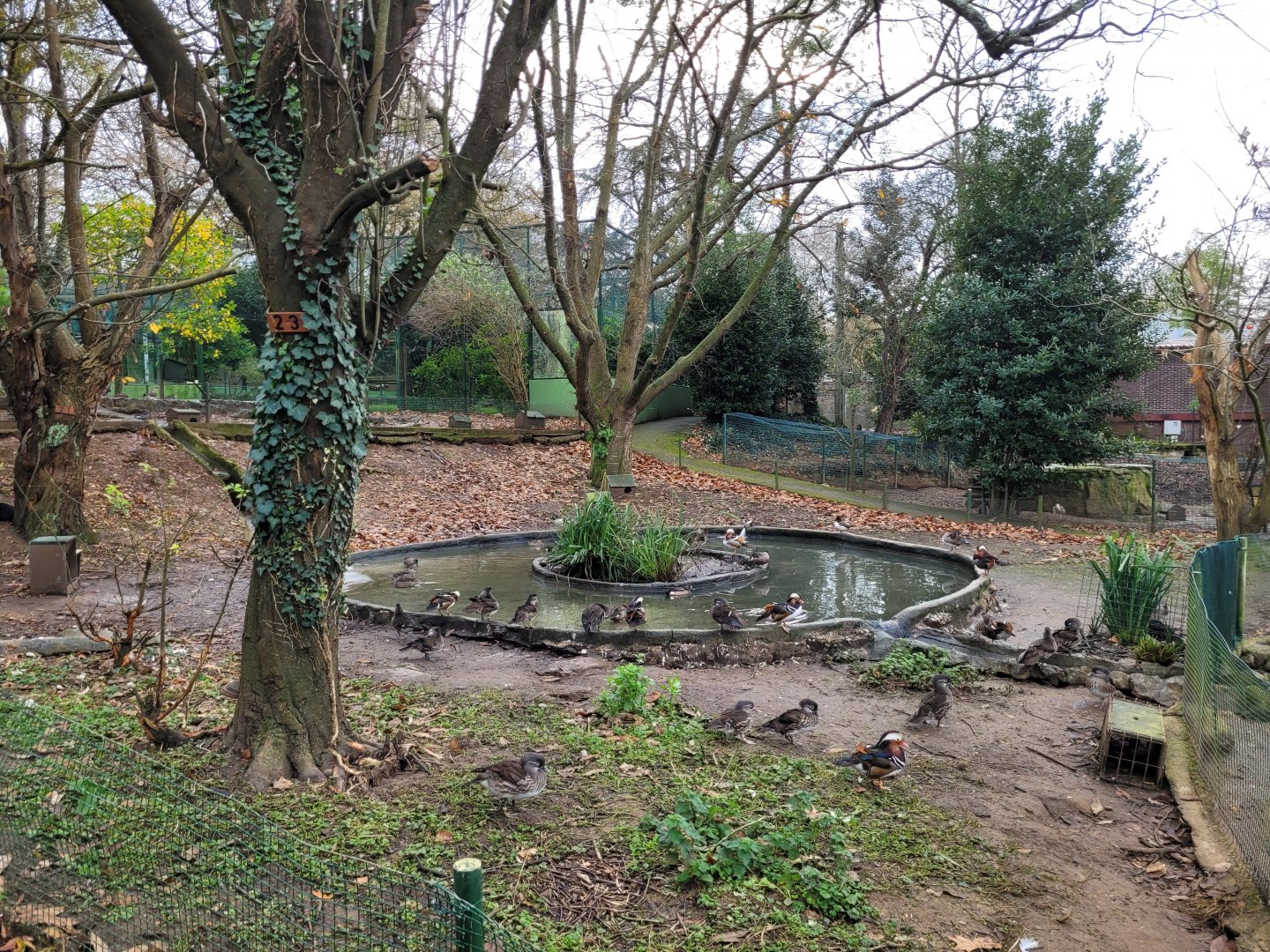 Waterfowl exhibit #5 -Zoo de Santillana del Mar (2023)