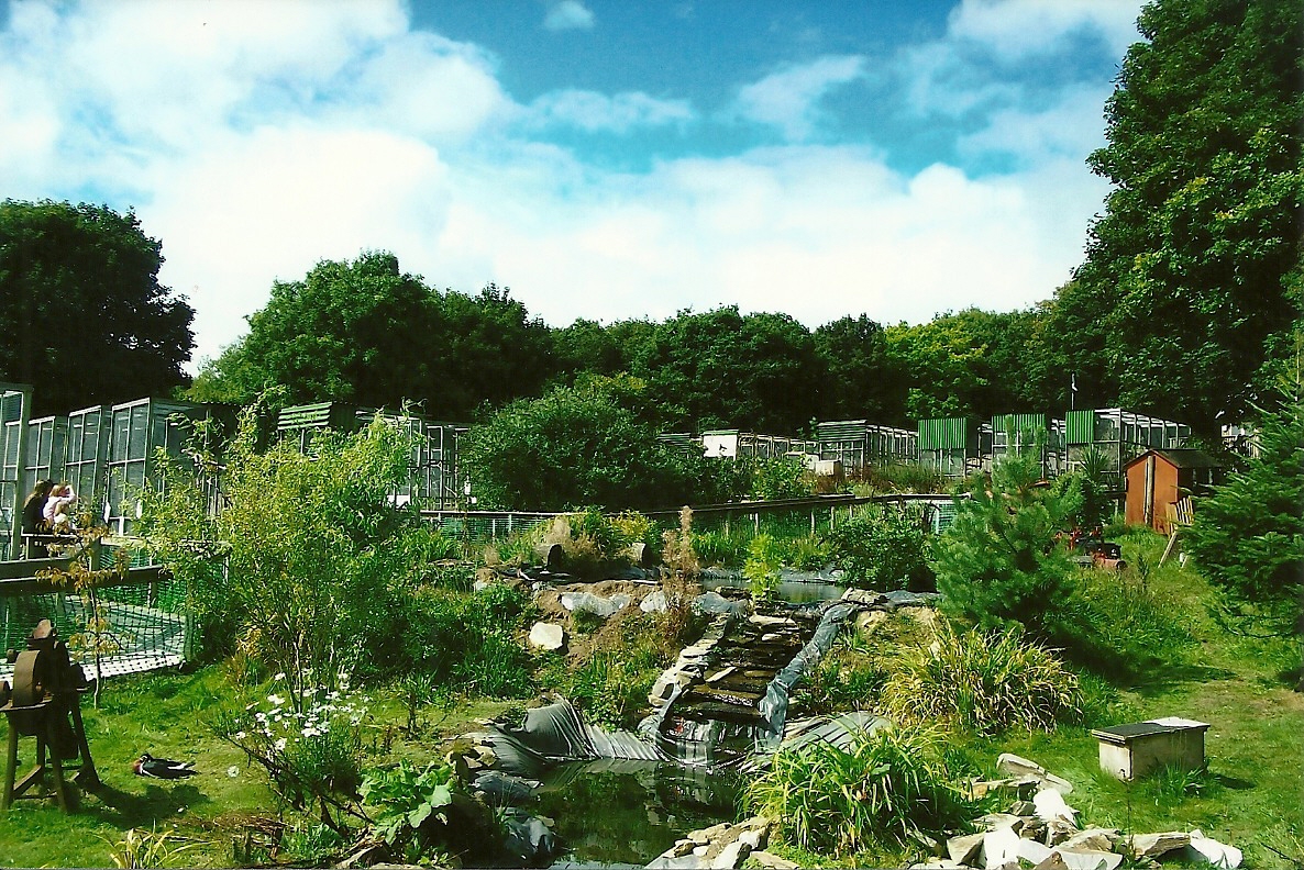 Waterfowl exhibit 5th September 2011